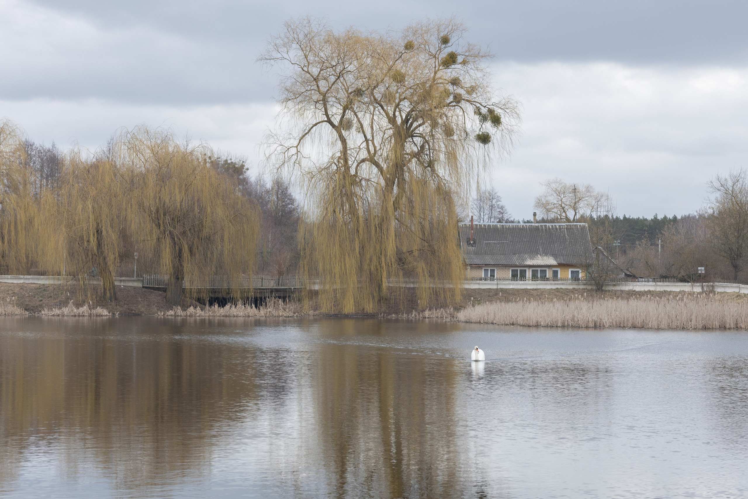 Около меня. Documentary photographer Anton Zdanovich