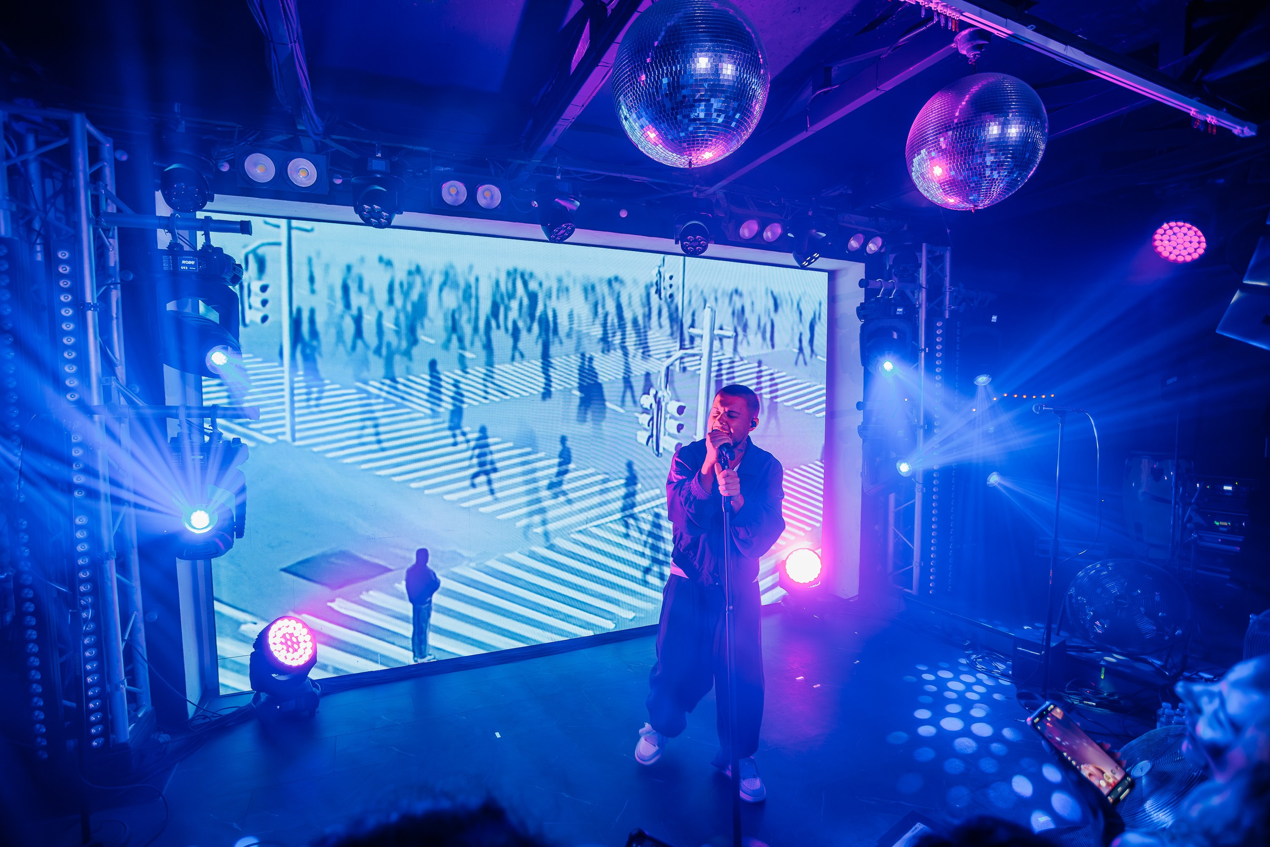 «LYRIQ"_Чайка на пляже_Ялта_15.08.2025 г. Аминов Руслан | Фотограф