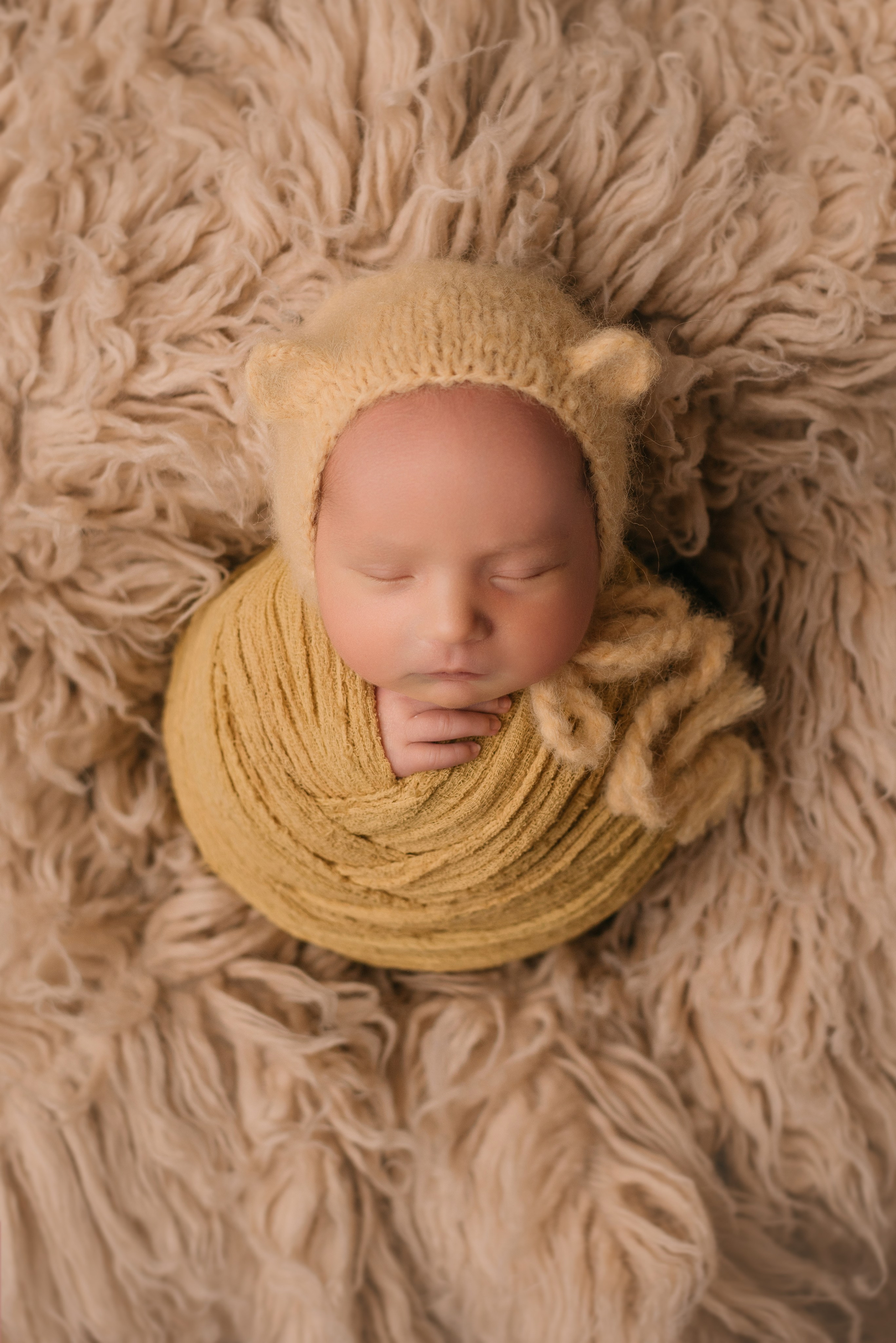 Лев. Фотограф новорожденных Белгород