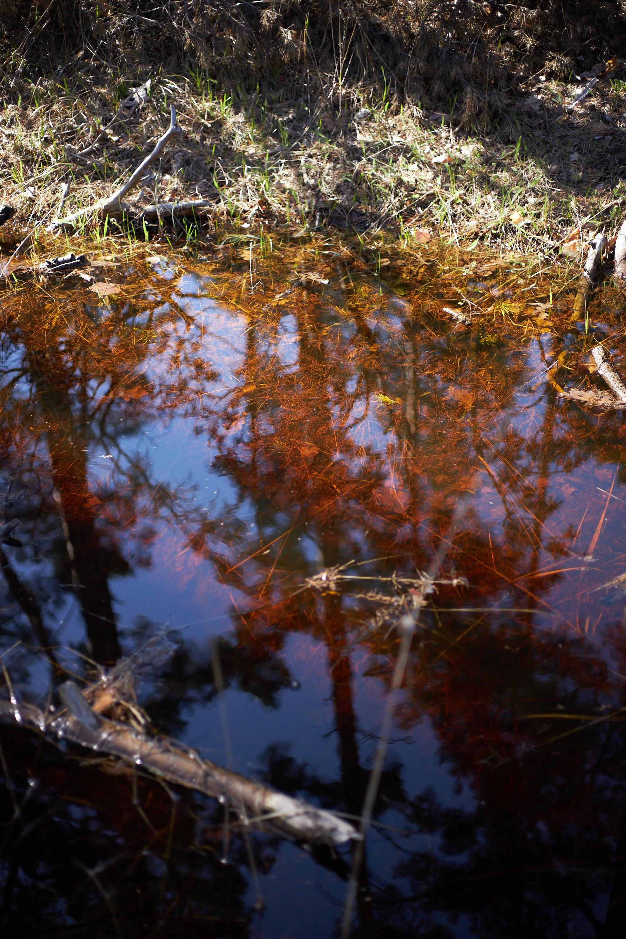 Настя. Фотограф Воронеж Илья Команюк