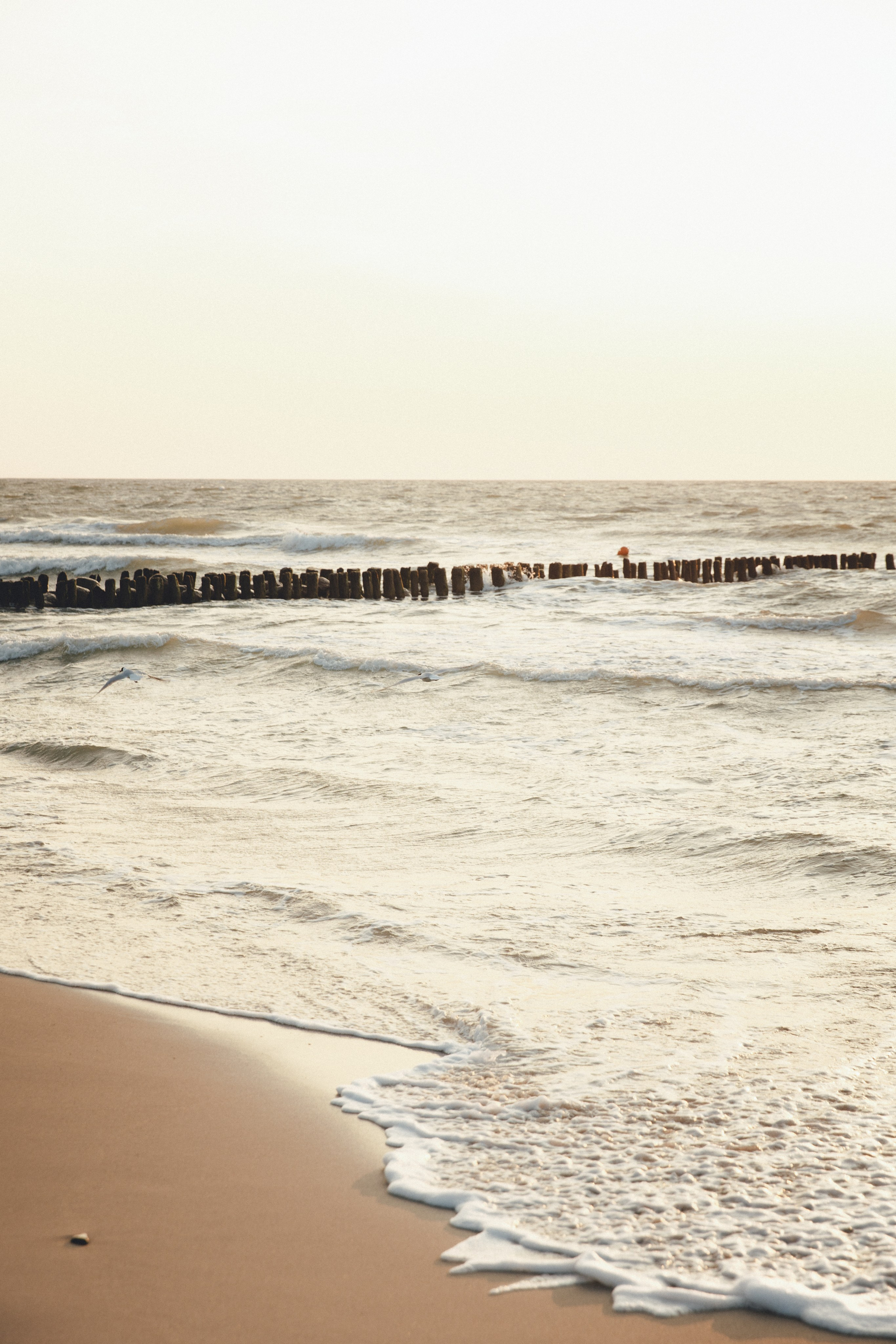 Семья в Малиновке. Фотограф Калининград Илья Миллер