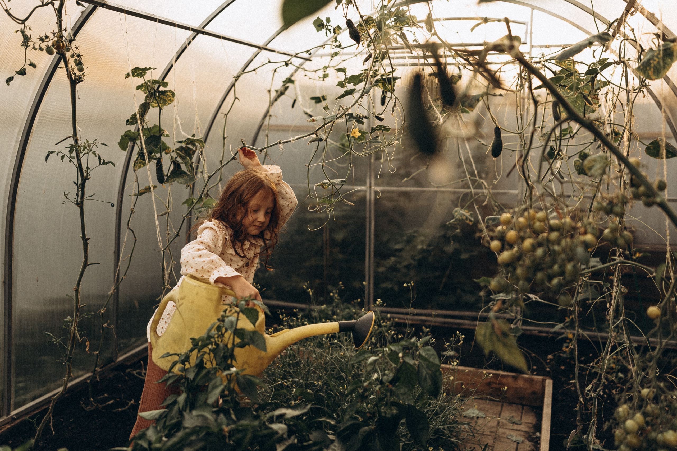 Дом у леса. Семейный и домашний фотограф в Уфе Ирина Гарасюта