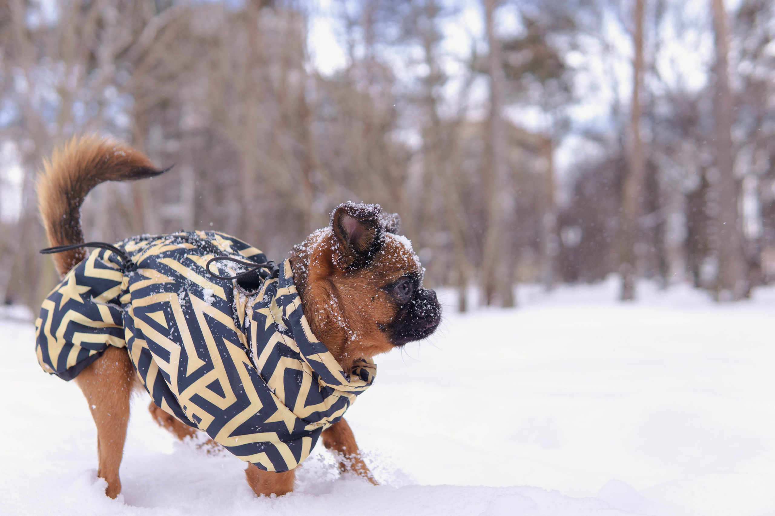 Надя и Ефим. Фотограф-анималист Ксения Воробьева, Москва