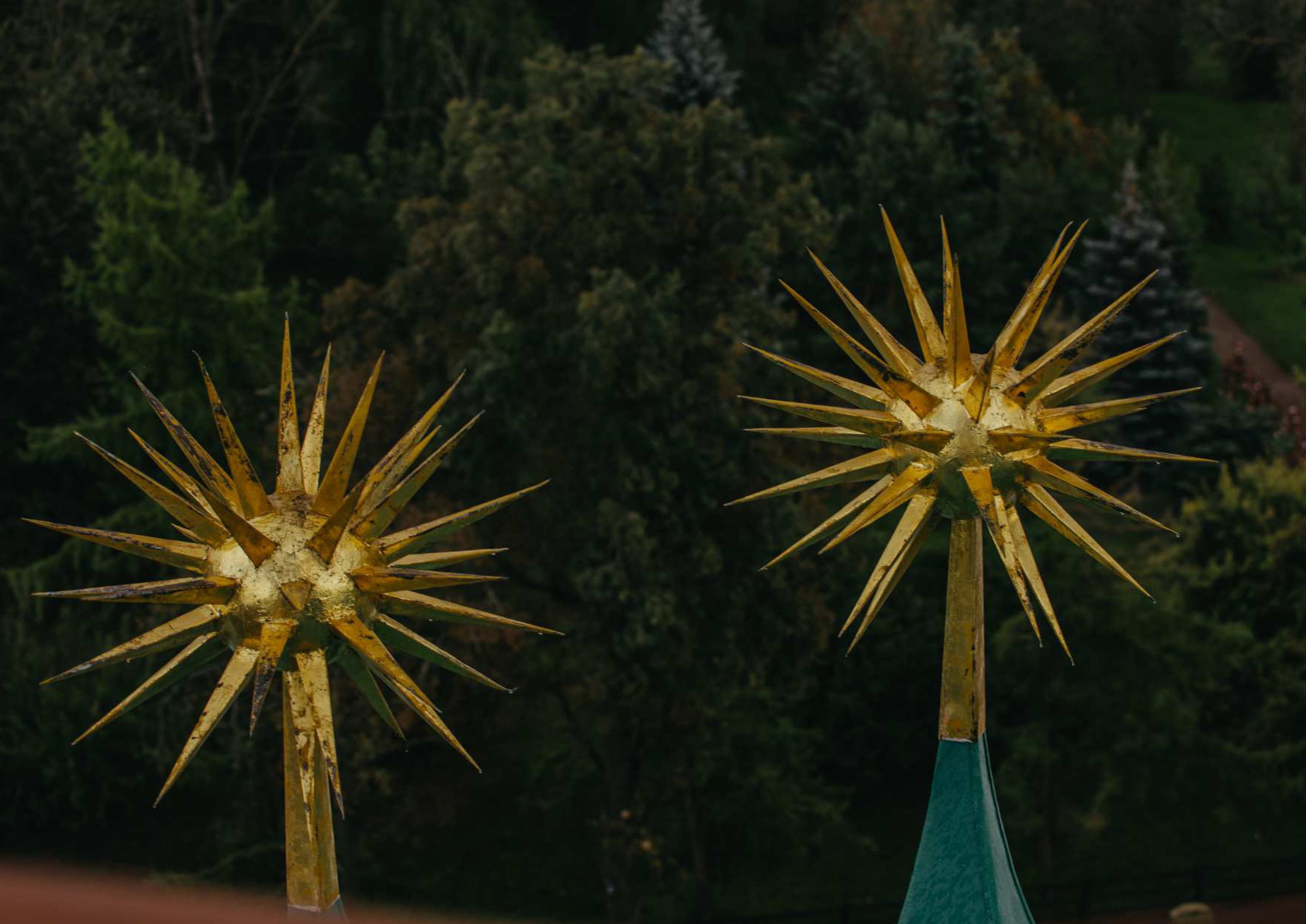 ФОТОАЛЬБОМ. НОВЫЕ ИМПРЕССИОНИСТЫ