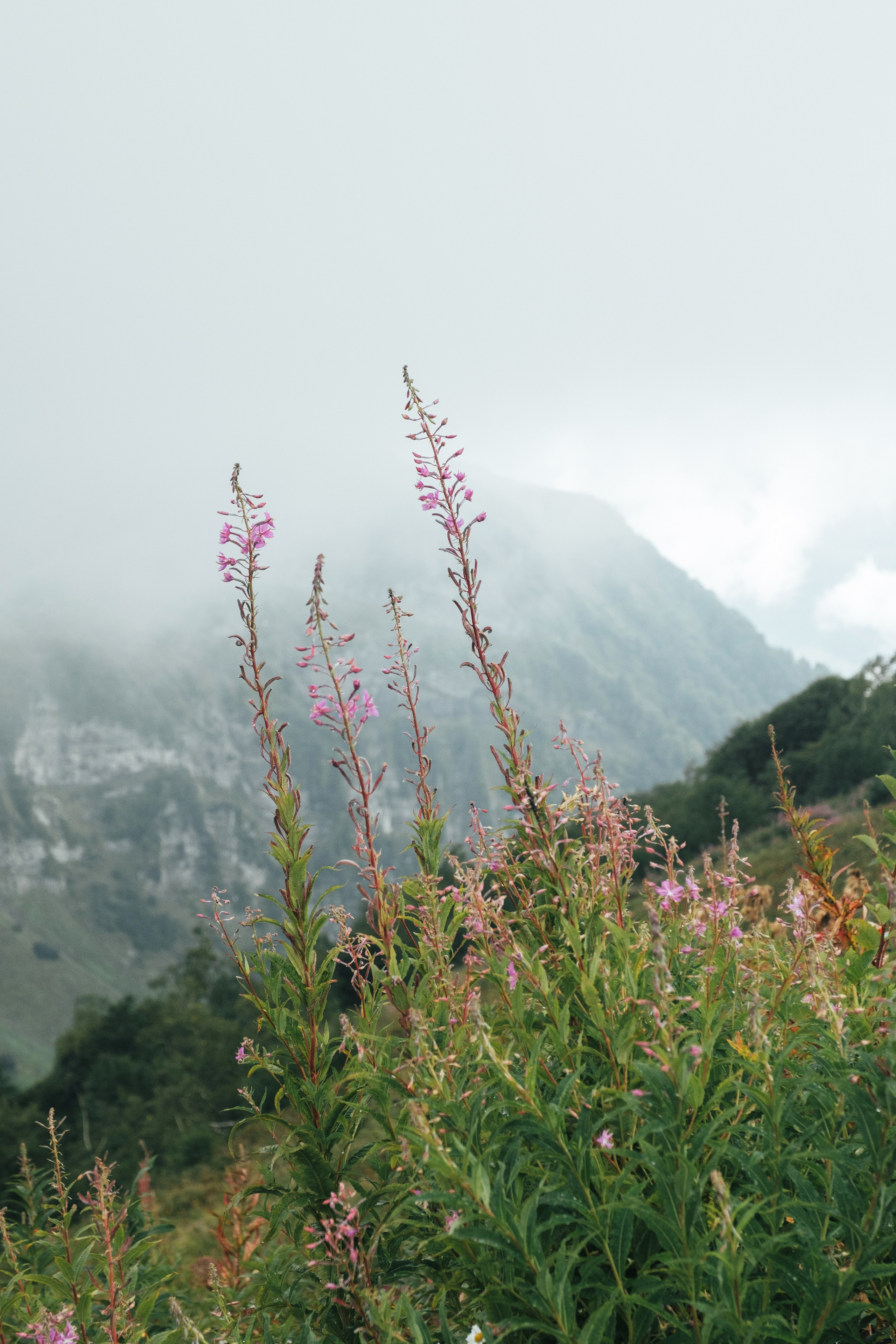 Горная карусель. Свадебный Видеограф Фотограф в Сочи