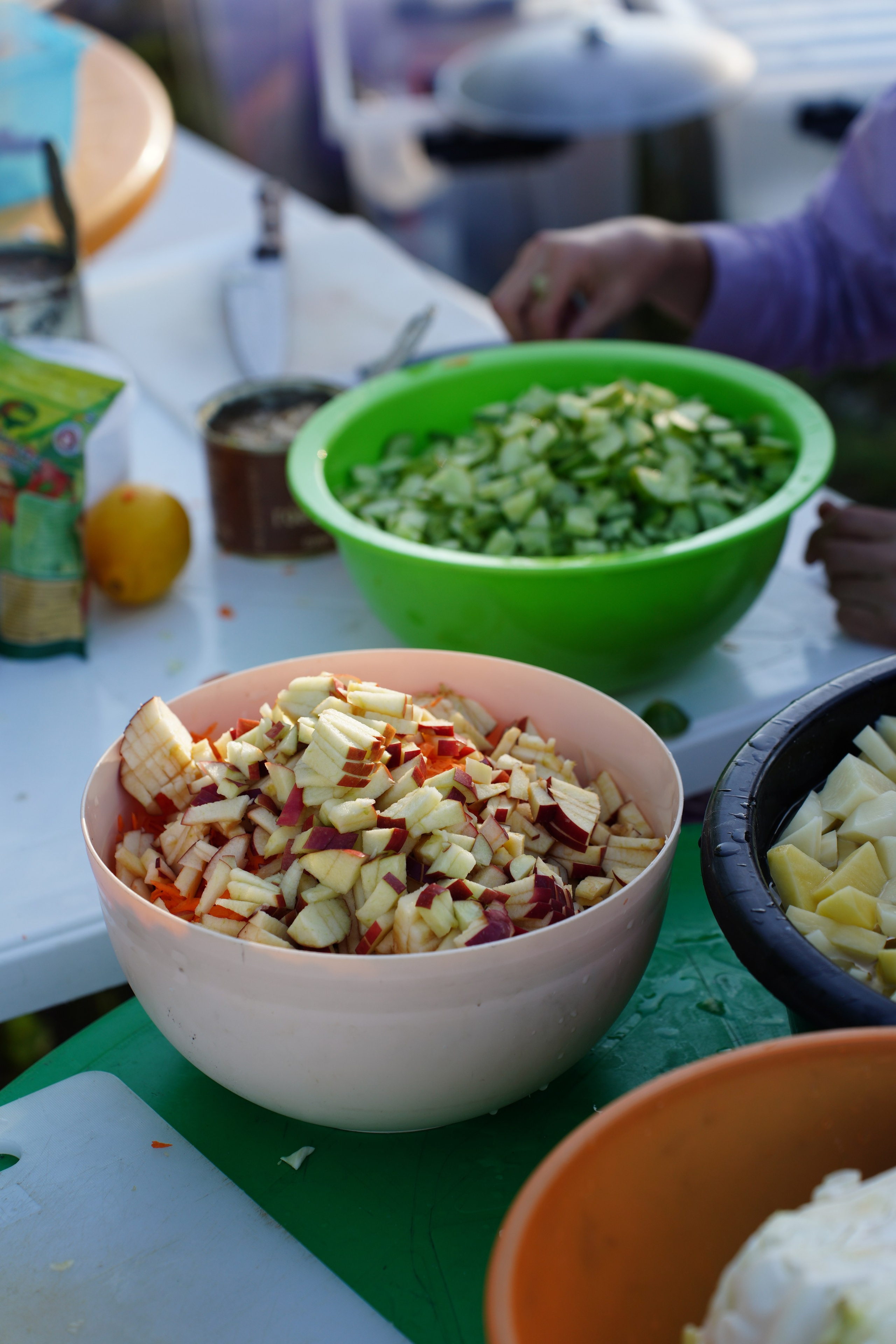 3-ех дневный сплав по «Уфимке». Pupov.png