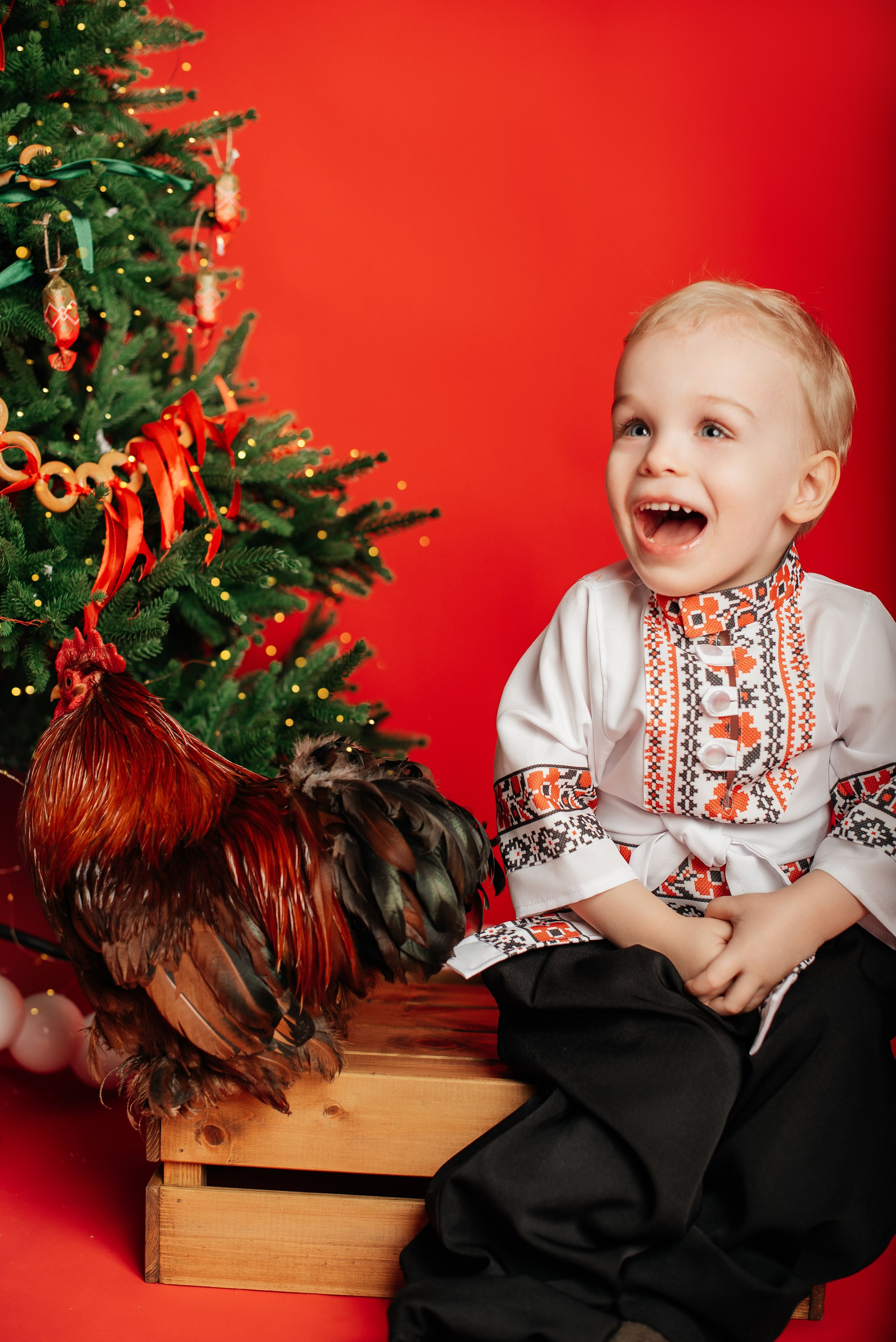 Новый год. Фотограф новорожденных и беременности Сергиев Посад Усачева Ирина