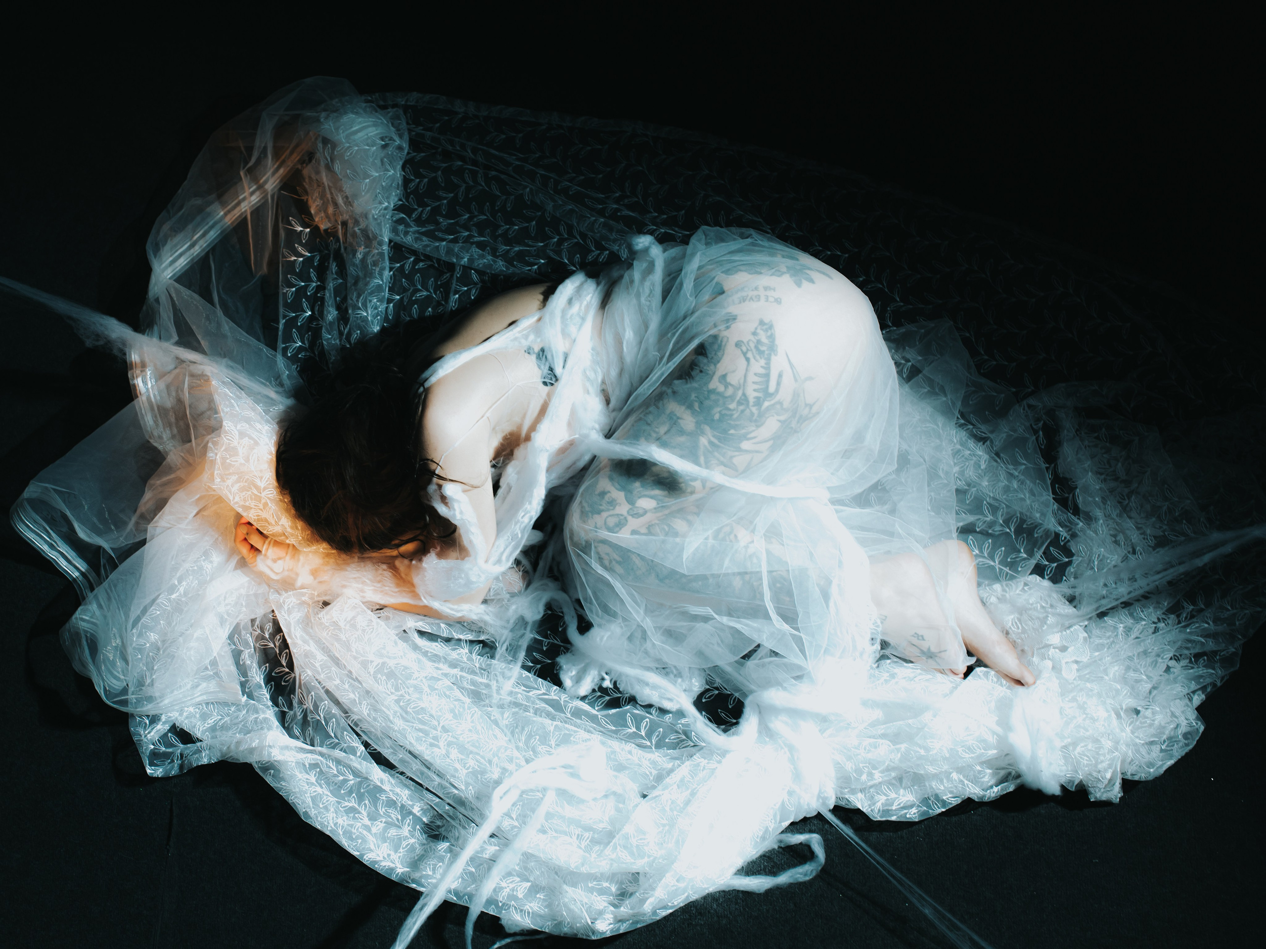 Diibae spider. Фотограф из Санкт-Петербурга Валерия Ленских