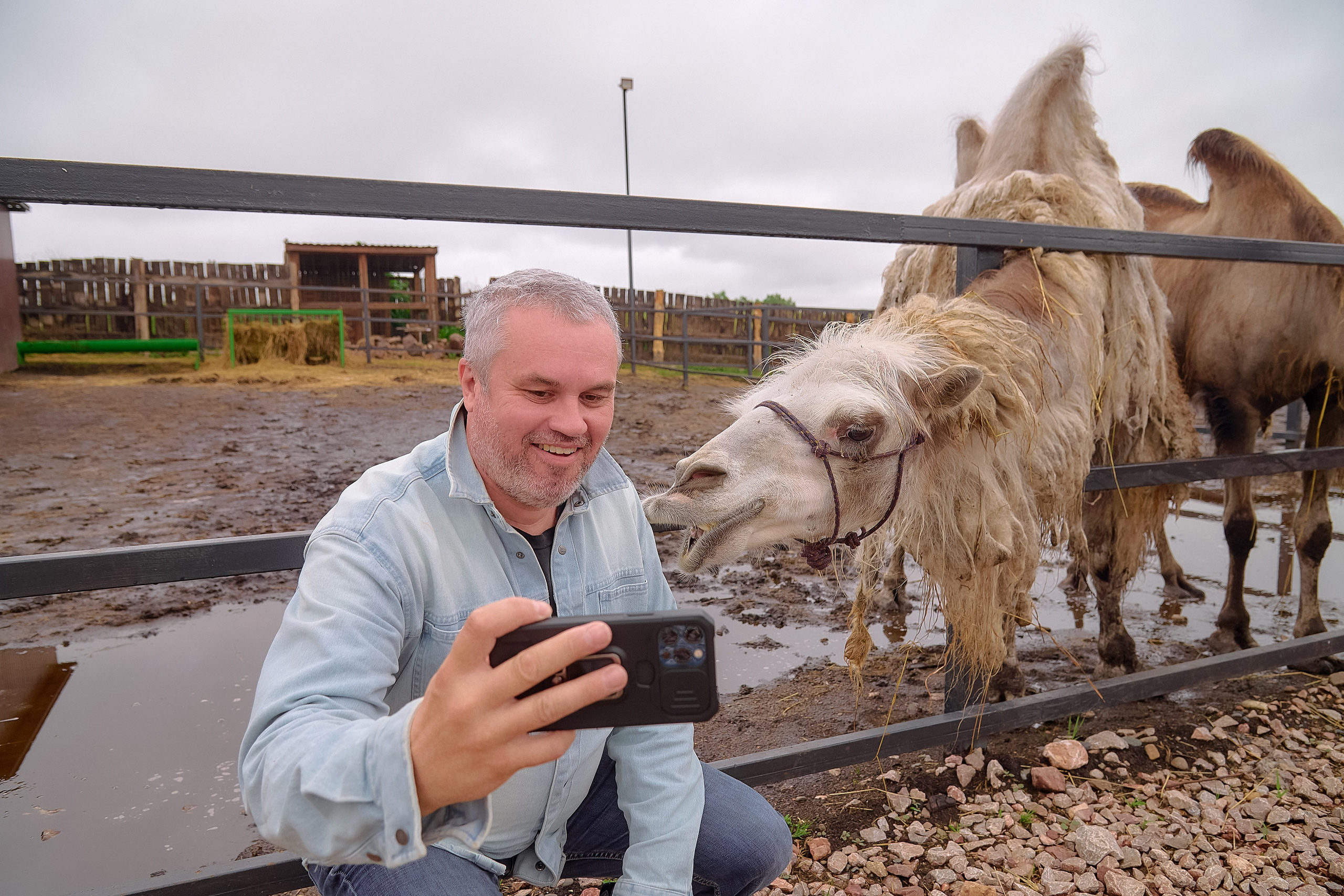 Ранчо «Шарье». Сеть магазинов «Калина-Малина». Фотограф Яковлев Роман — Красноярск