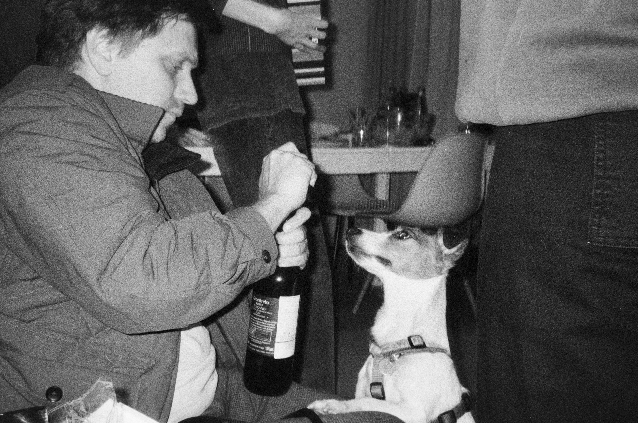 Film. Ruslan UI Dev Page