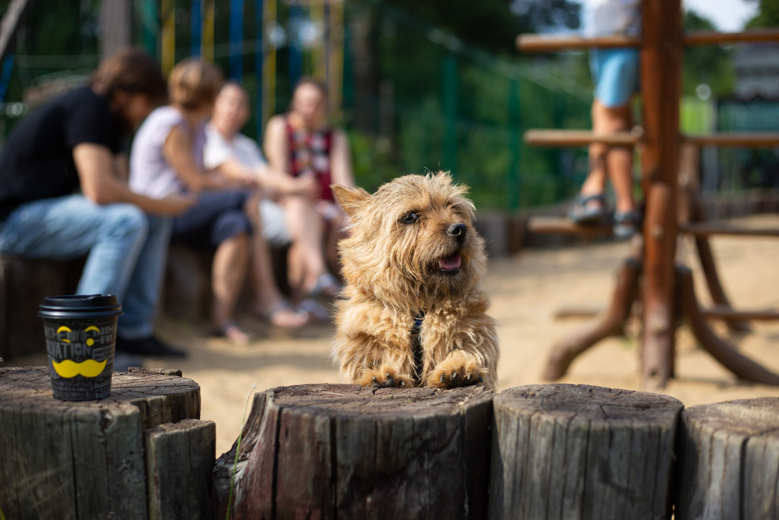 Прогулка. Фотограф Лагутин Анатолий