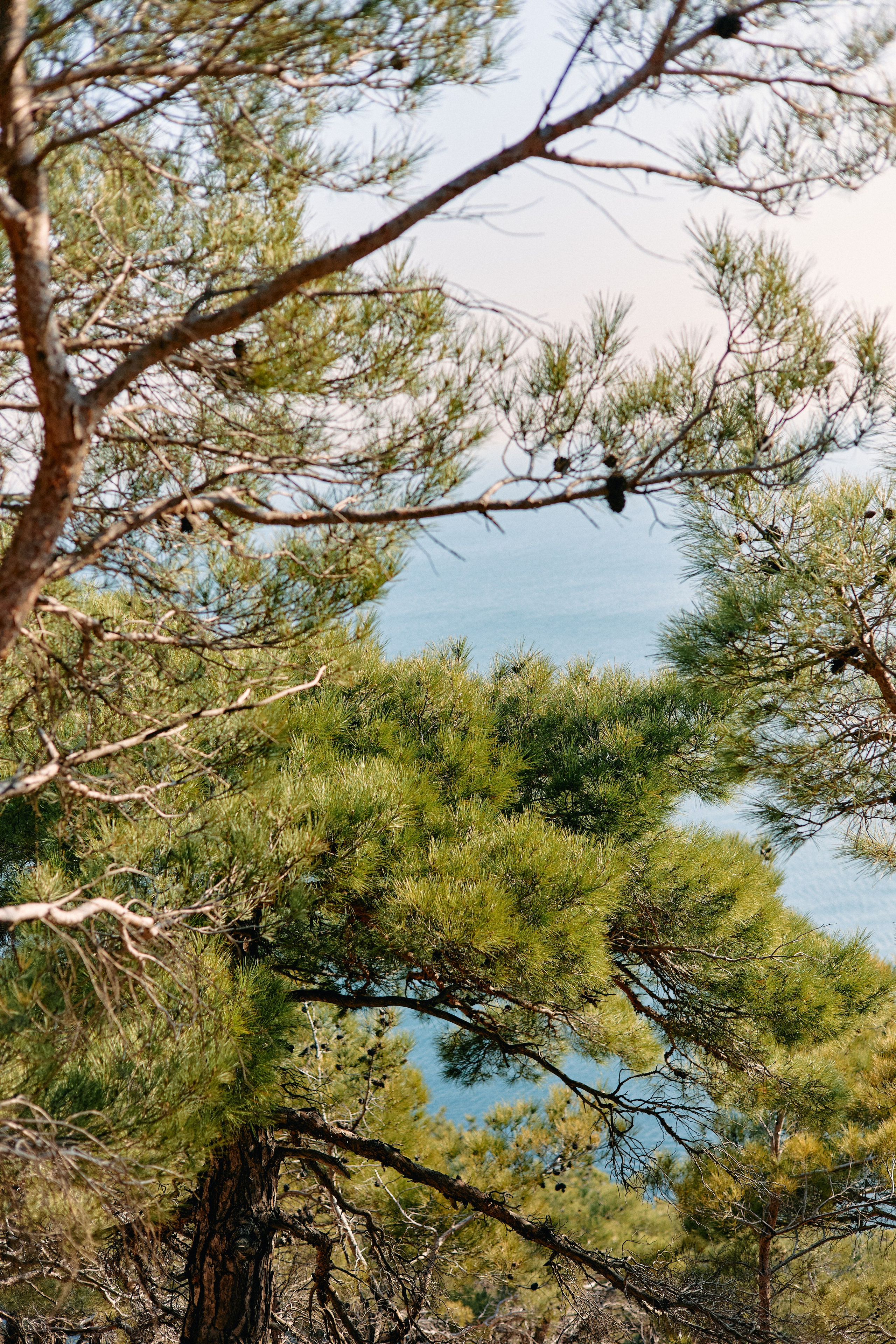 Юг России. Профессиональный Фотограф во Владимире, в Москве и в Суздале — Полина Романычева