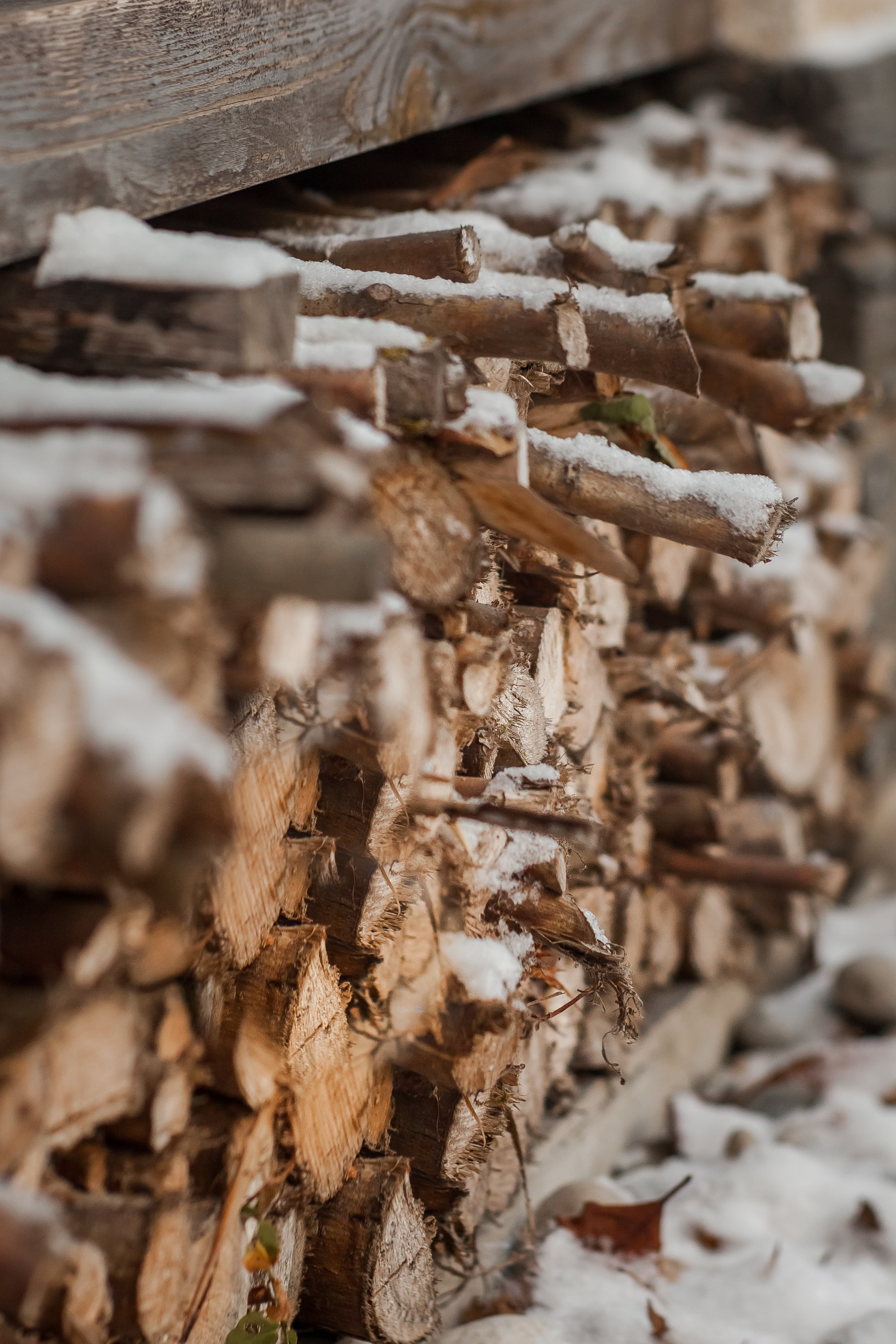 Спящий сад, Елены Асташкиной. Туманов Виталий — фотограф Москва