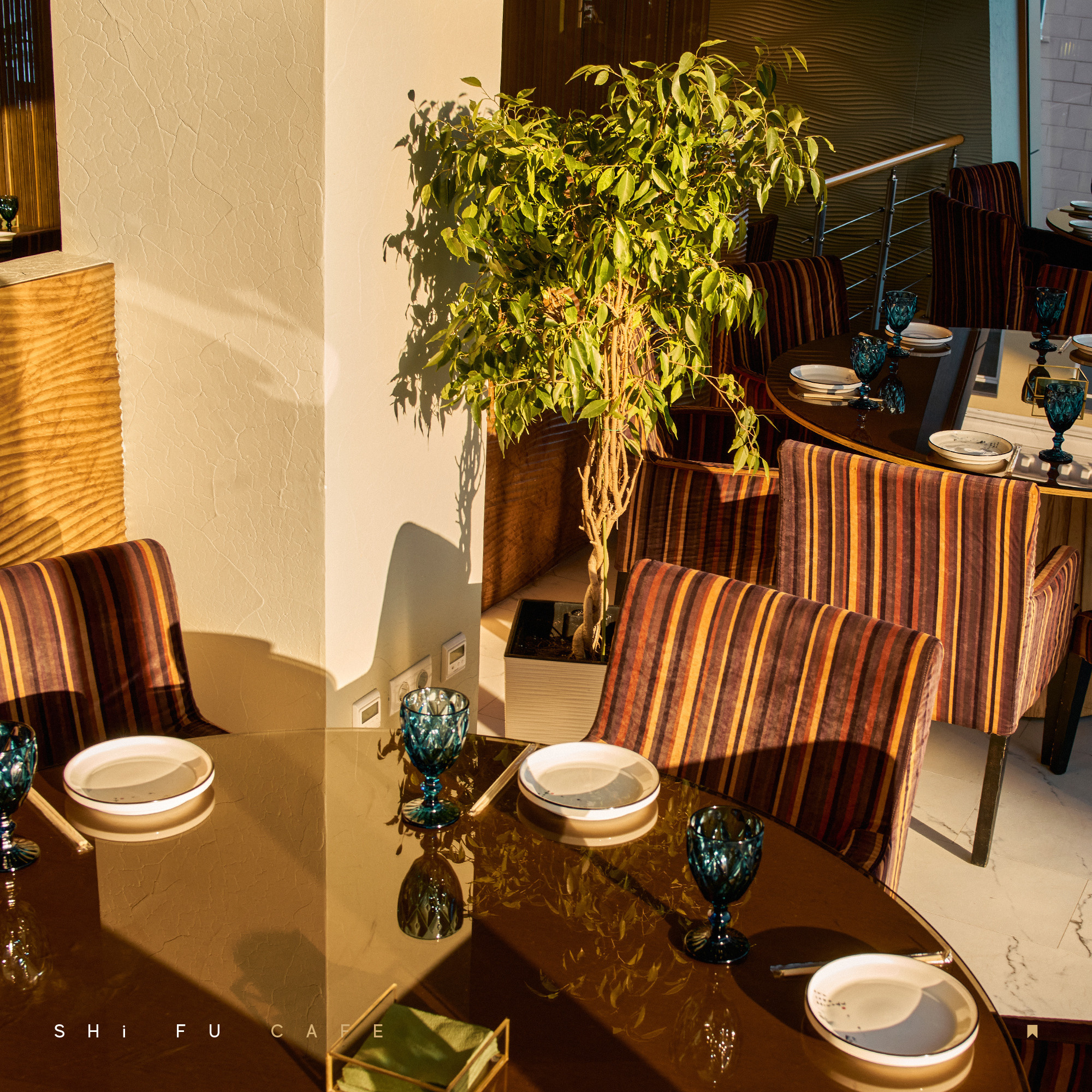 Shi-Fu. ГЛАВНАЯ