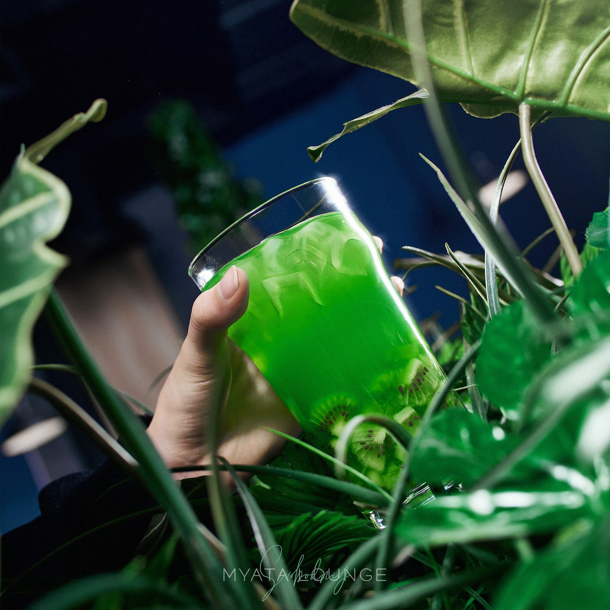 Myata Lounge SVB. ГЛАВНАЯ