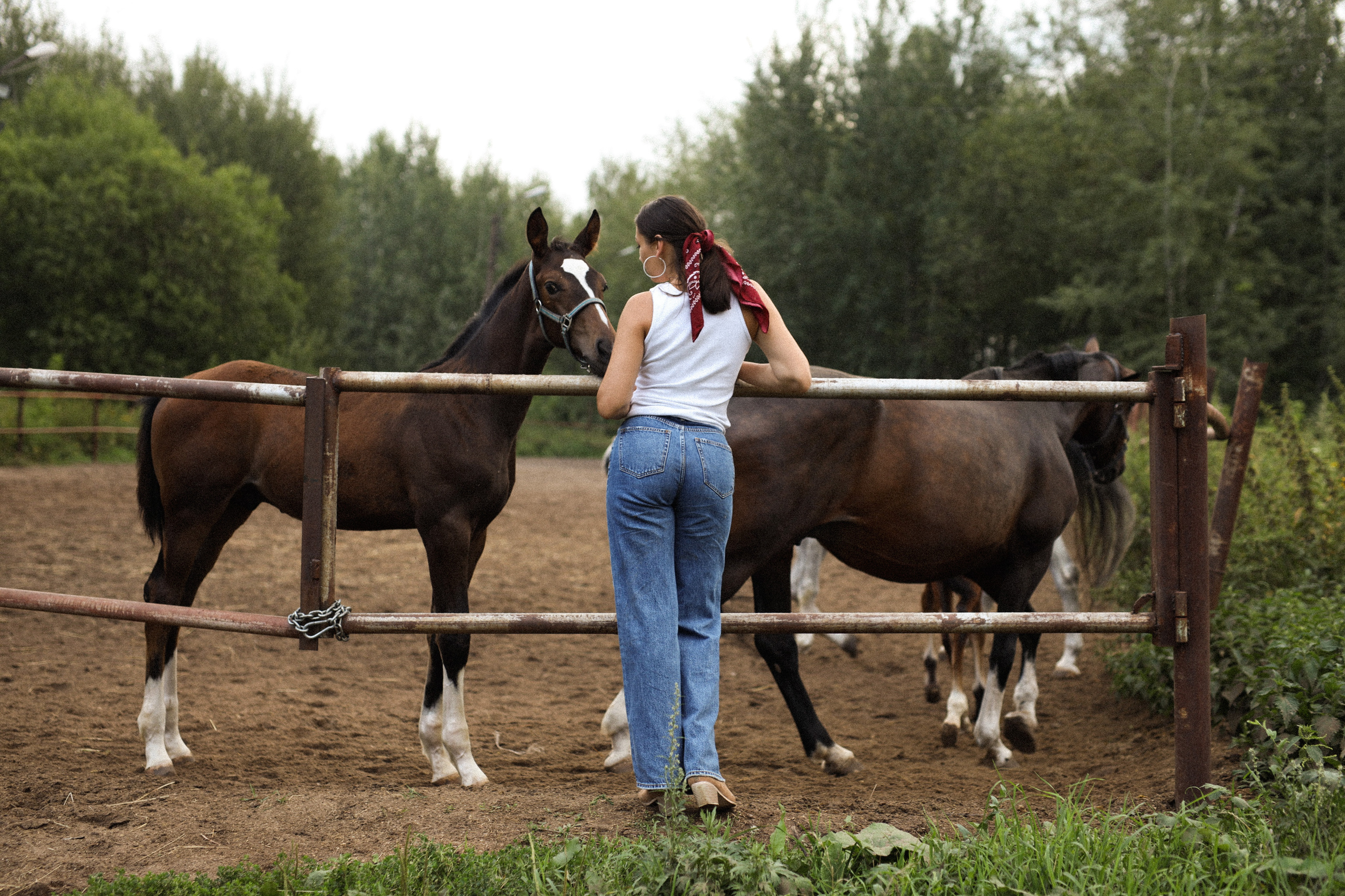 Юля с лошадками. Фотограф Нижний Новгород Юлия Болдырева