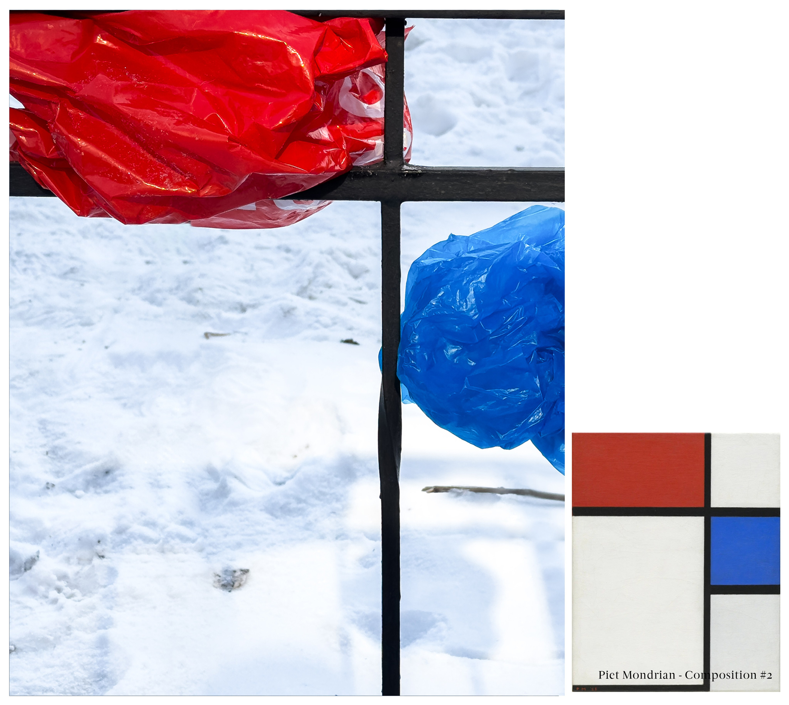 “Plastic bag as a found object” project. Art photographer Serdyuk Yulia