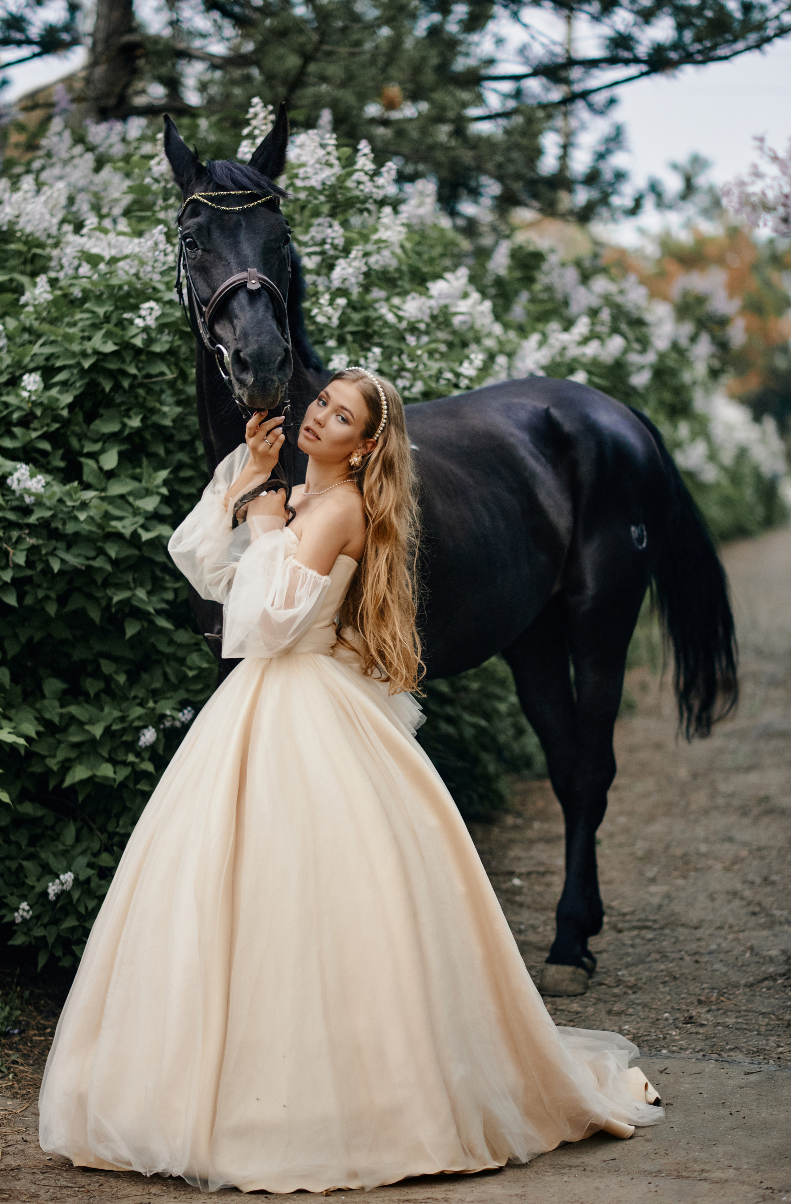 Portrait. Equestrian photos