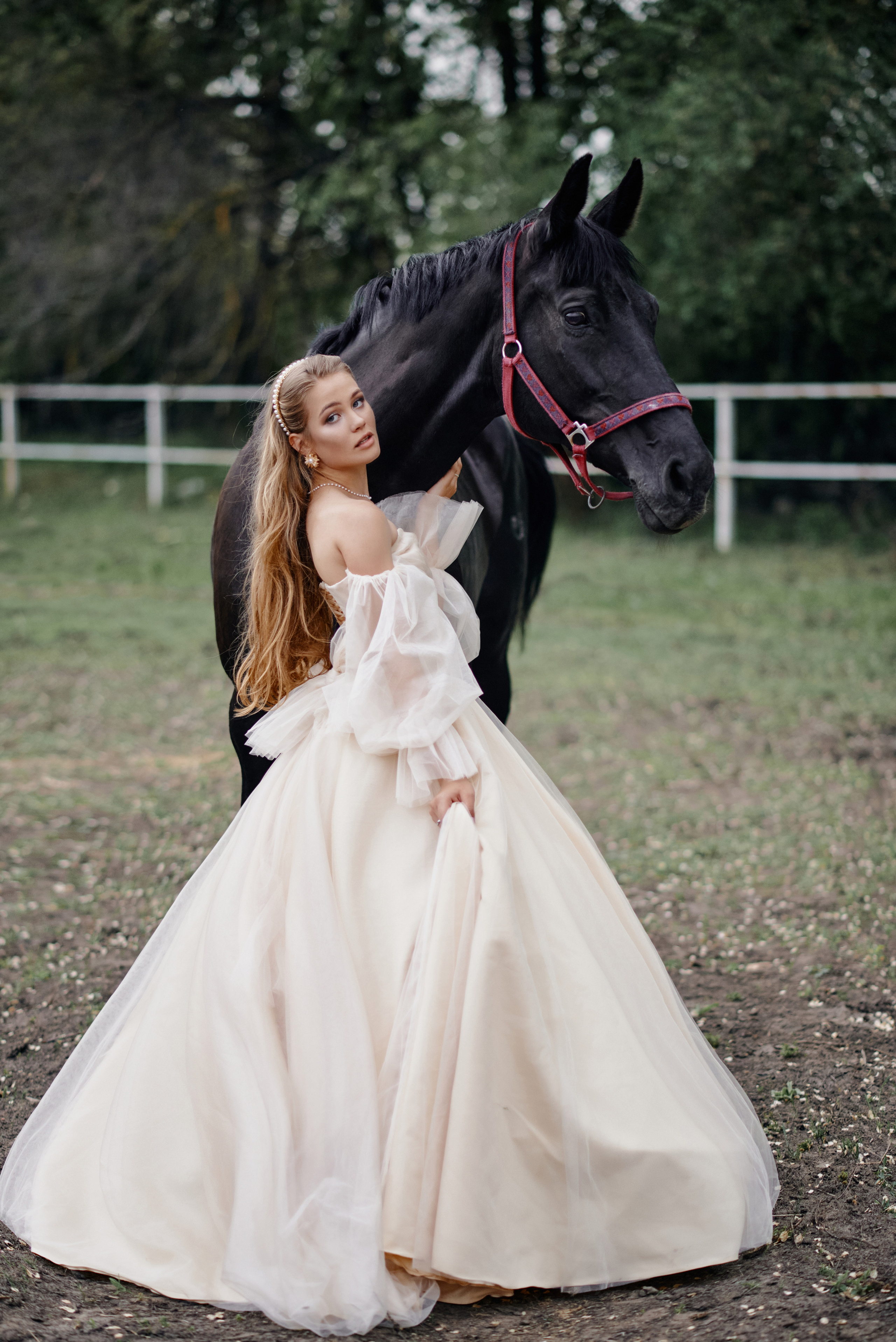 Portrait. Equestrian photos