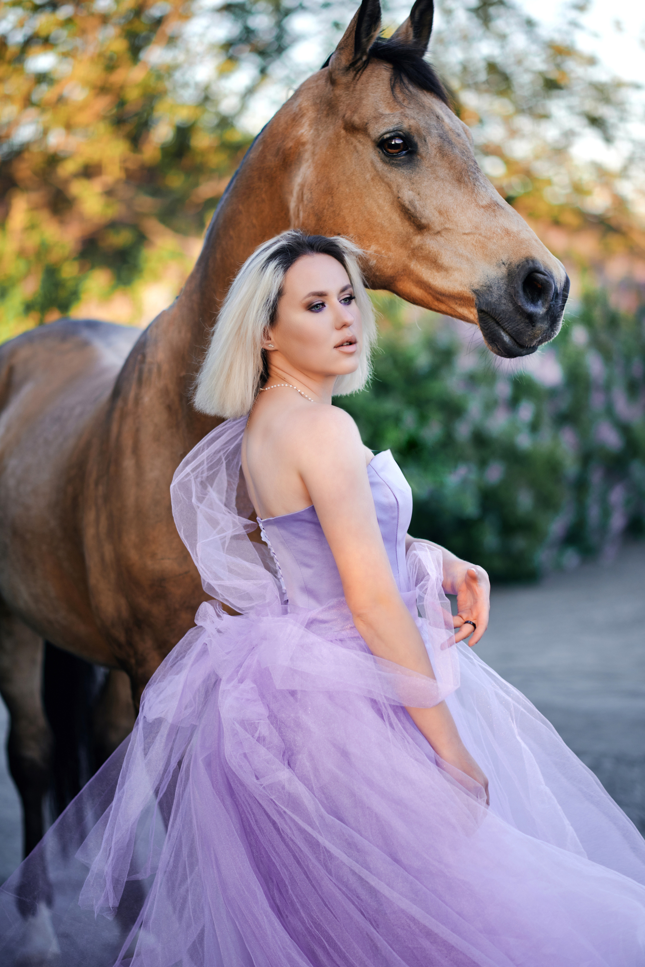 Portrait. Equestrian photos
