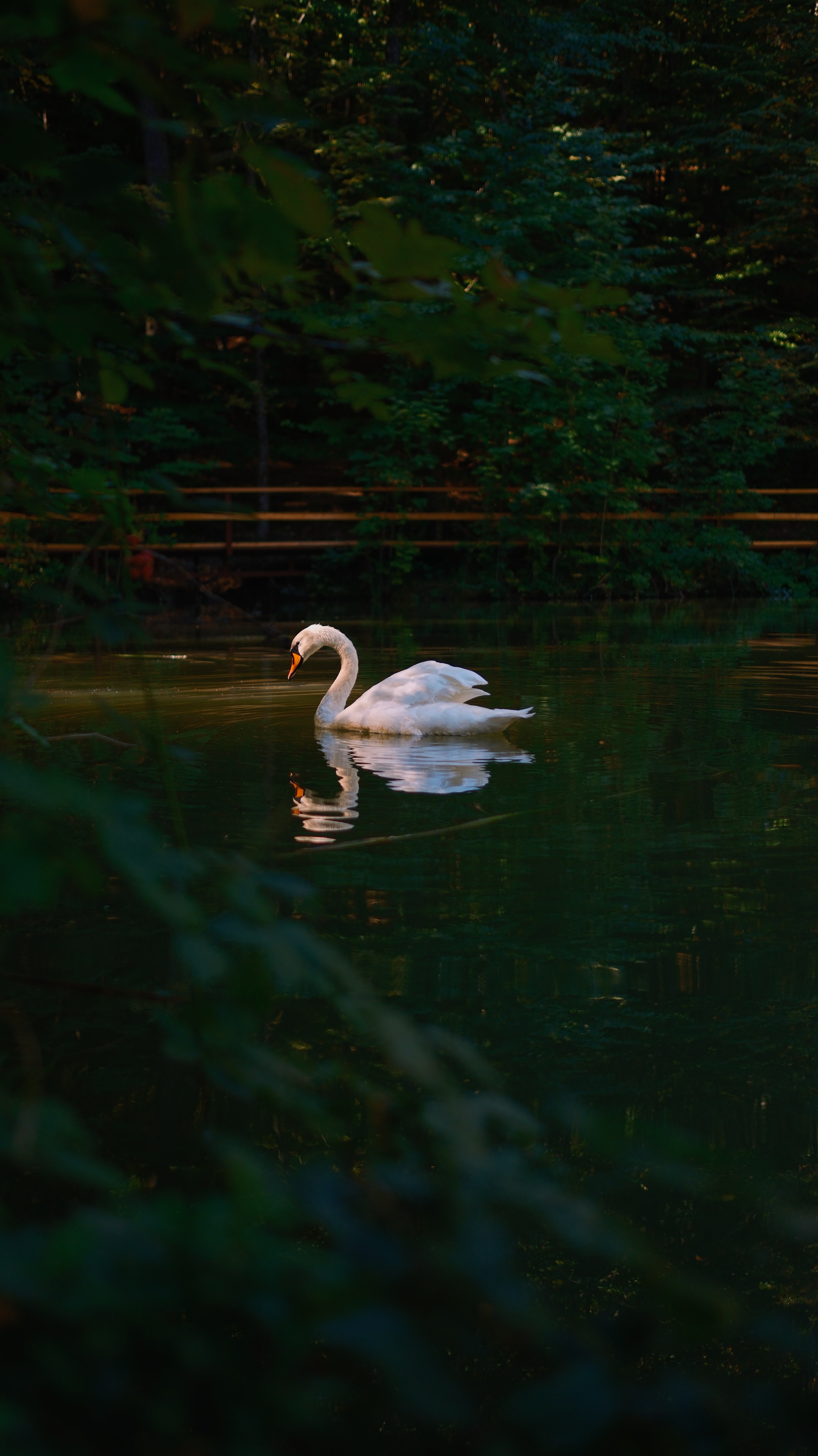 Хочу на Ай-Петри. Гид и фотограф в Крыму Сергей Соколов