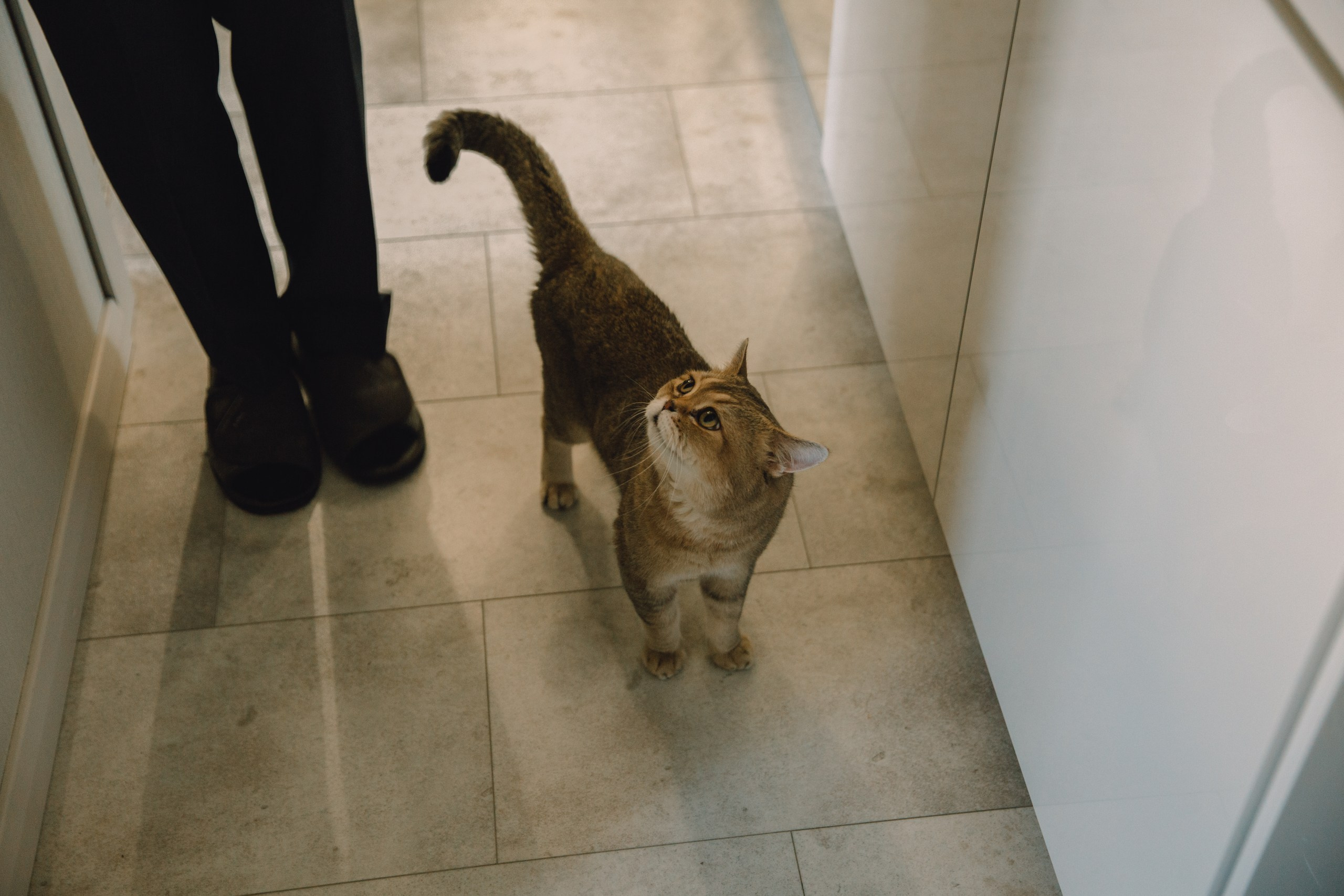 Иван & Ксения. Портретный фотограф в Москве