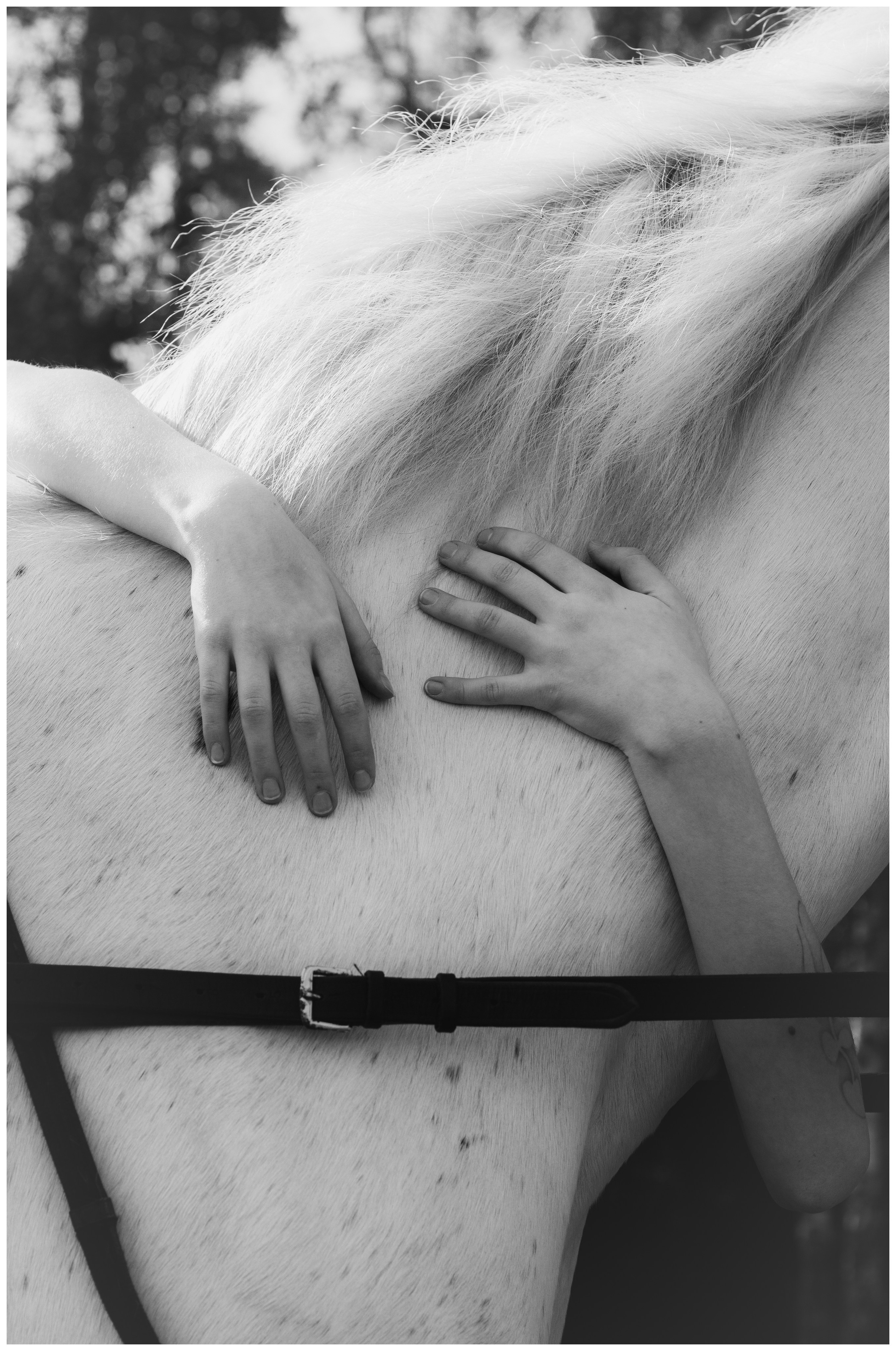 Екатерина. Портретный фотограф в Орле. Готовые фото за 3 дня! Помощь в позировании. Советы по организации