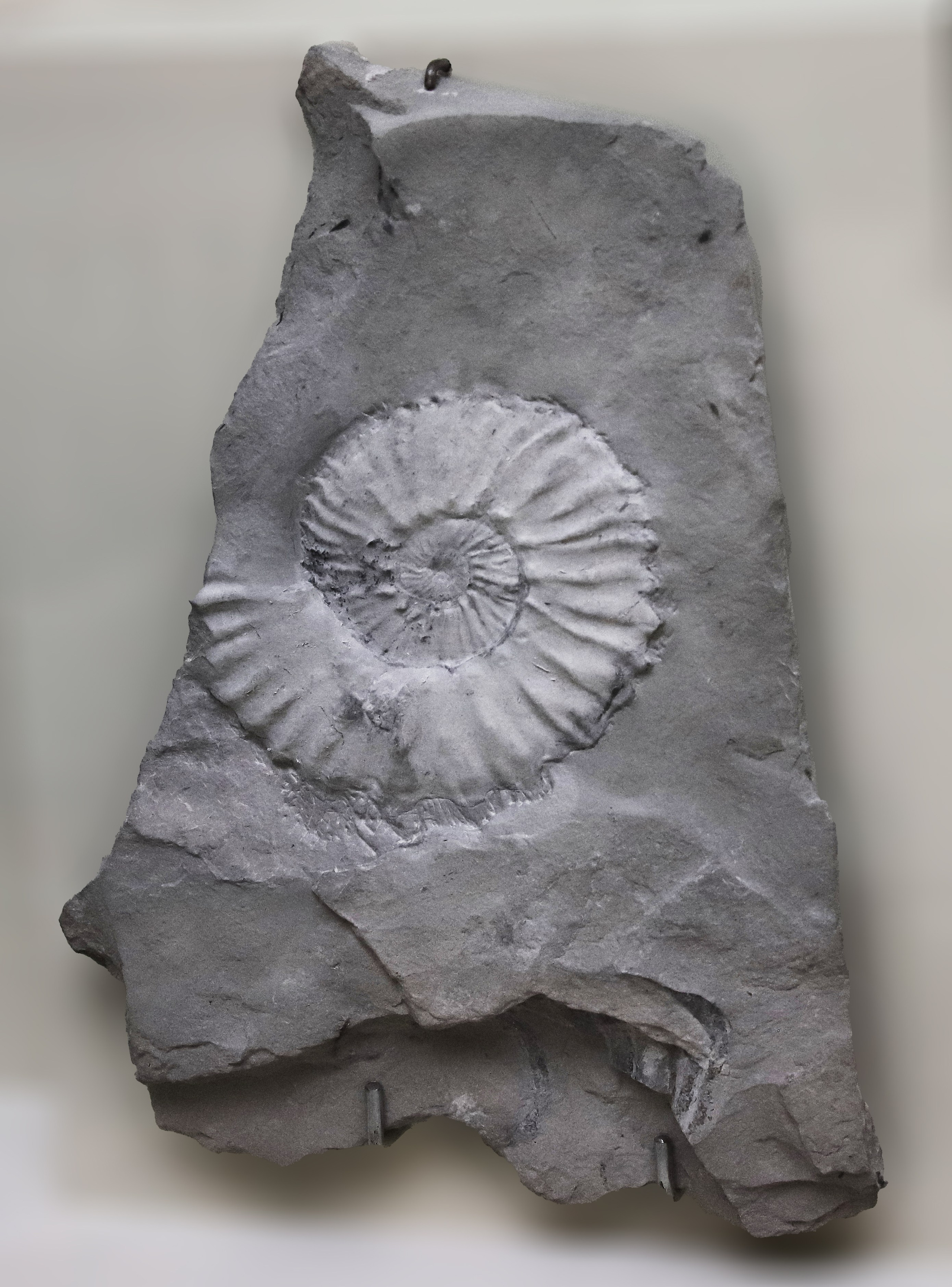 Каменная летопись. Фотограф Юлия Маринина