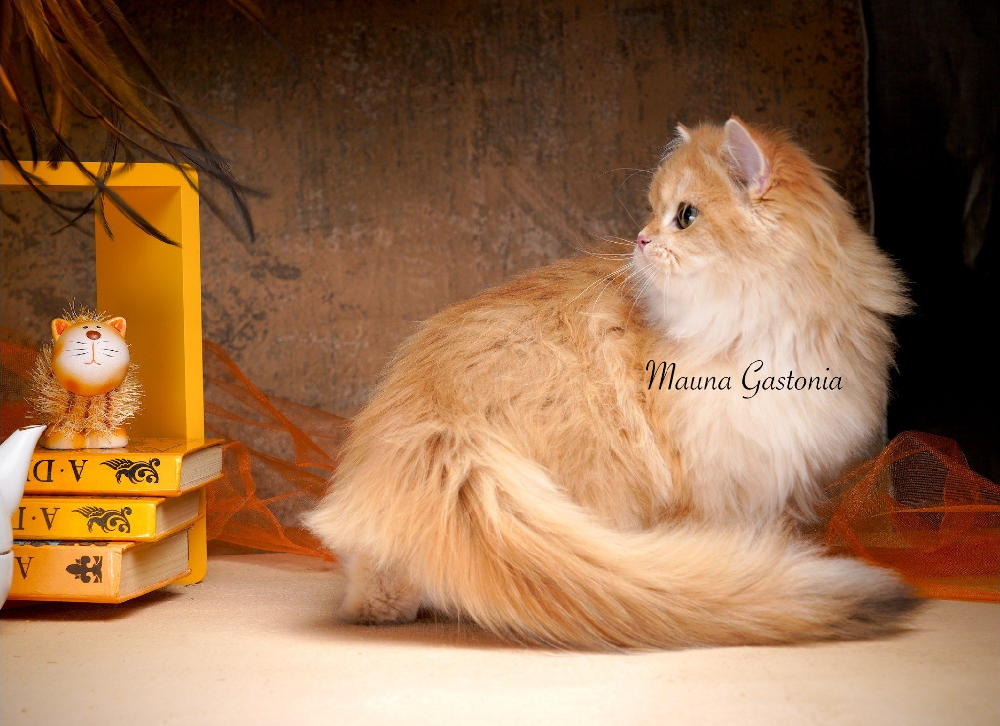 Germes. Mauna Gastonia