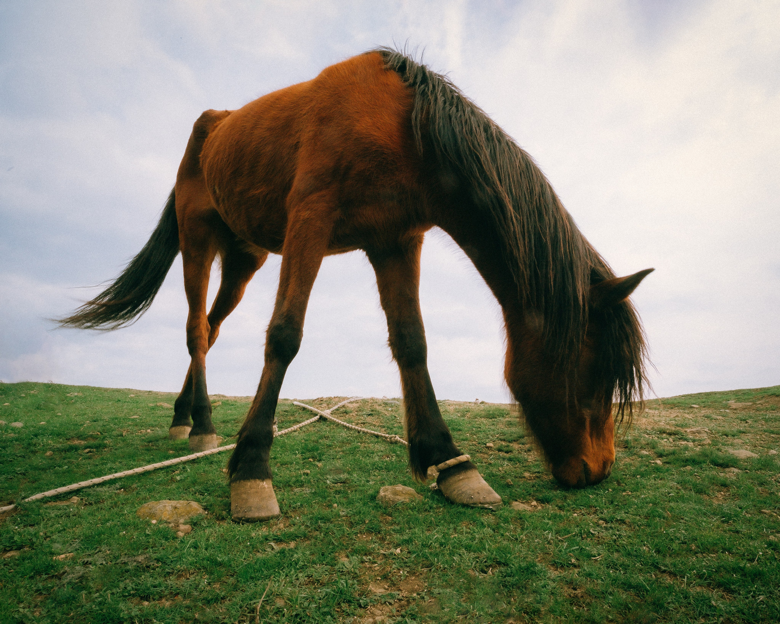Стрит / Окружение / Архитектура. Фотограф Александр Чернышёв