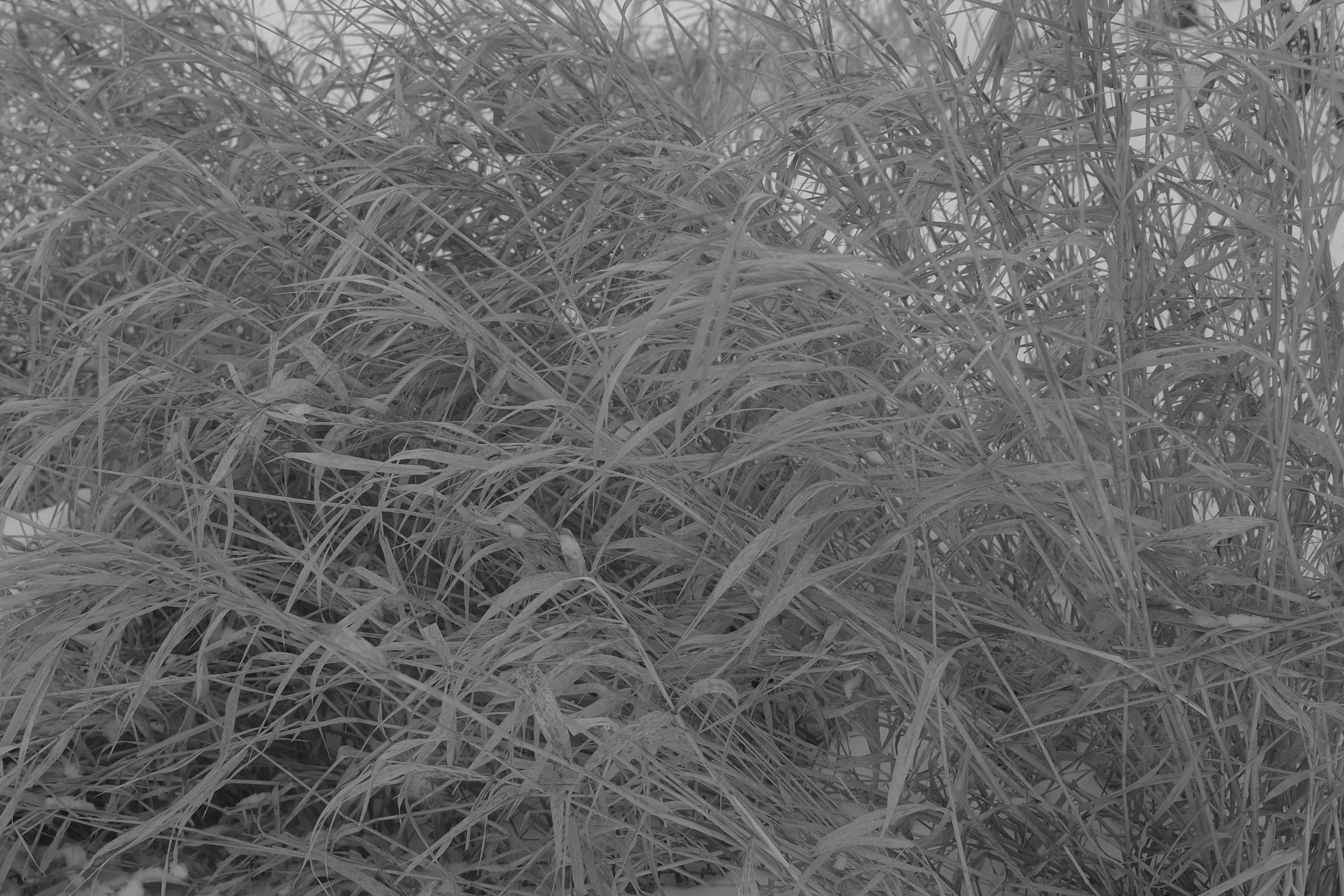 — 2025. Фотограф Злата Спицына