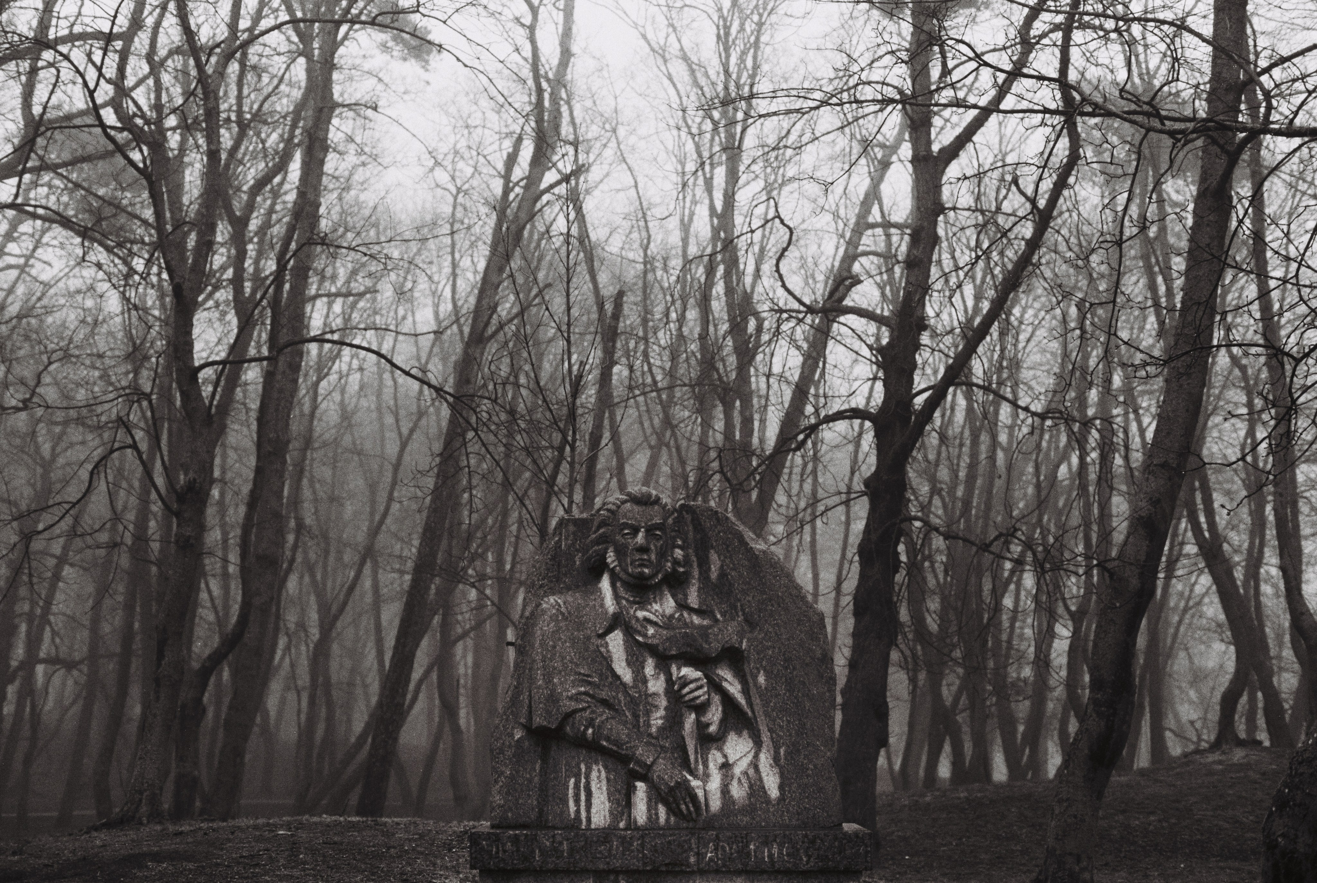 Калининградские палимпсесты. Арсений Игошев — фотограф, урбанист