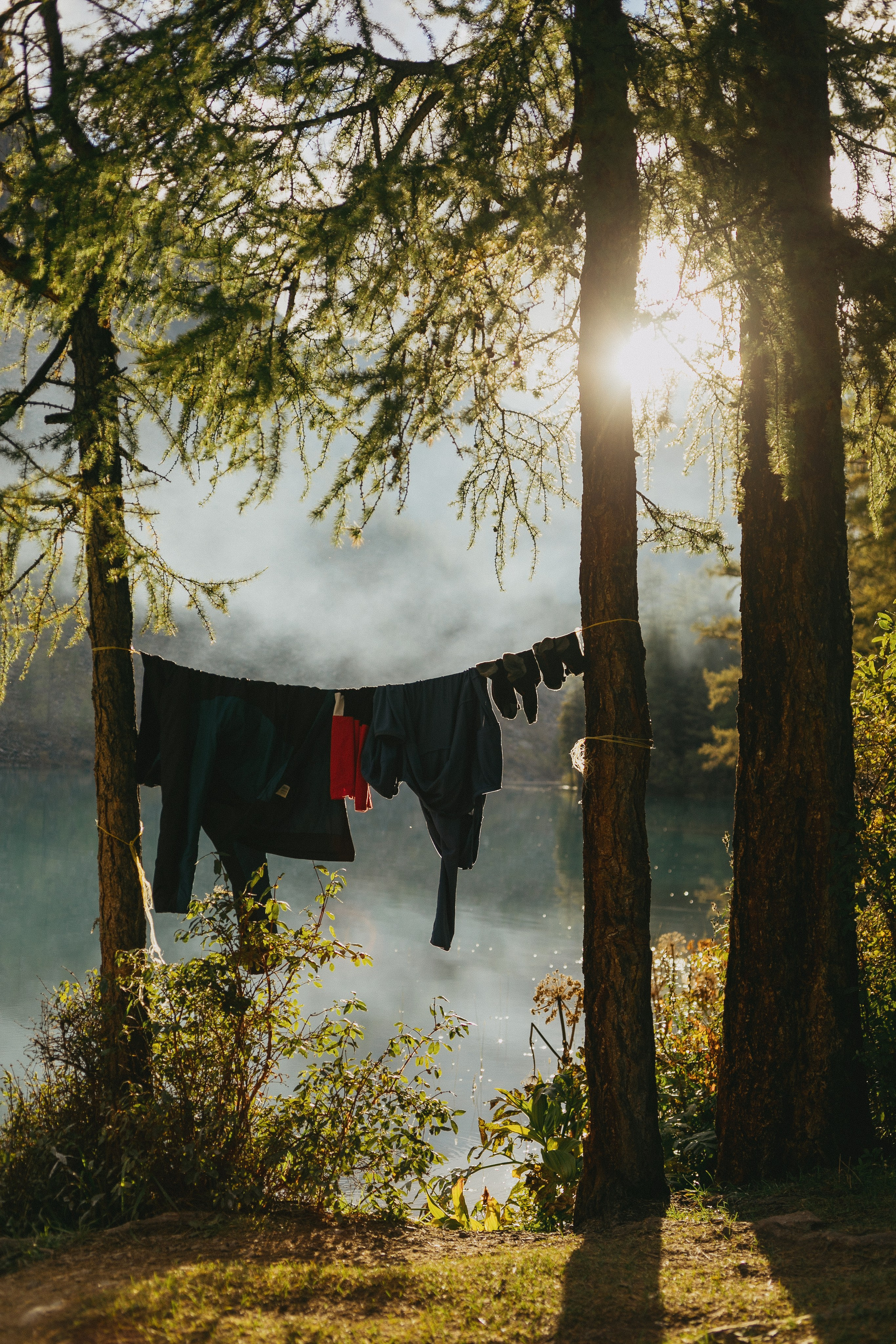 Шавлинские. Главная