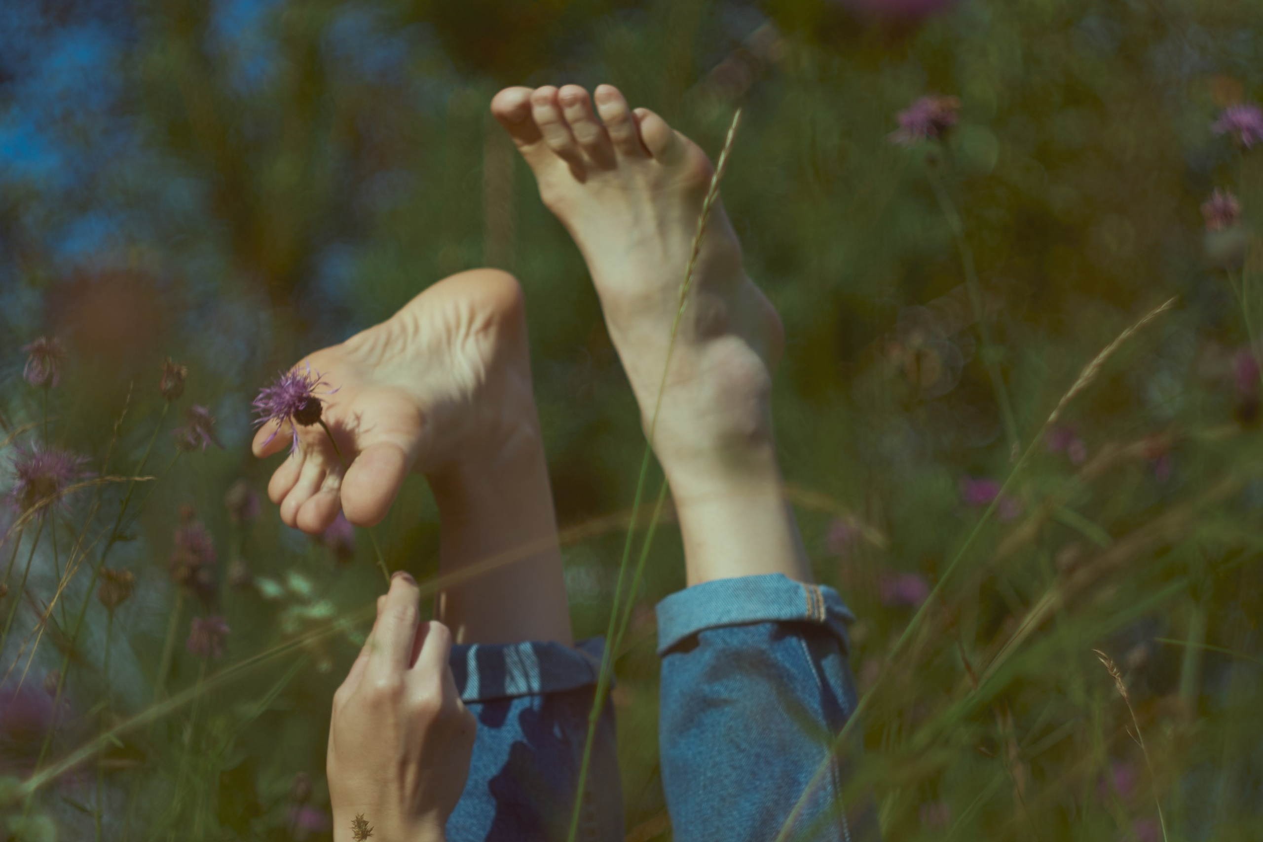 Summer field. Юля Ф