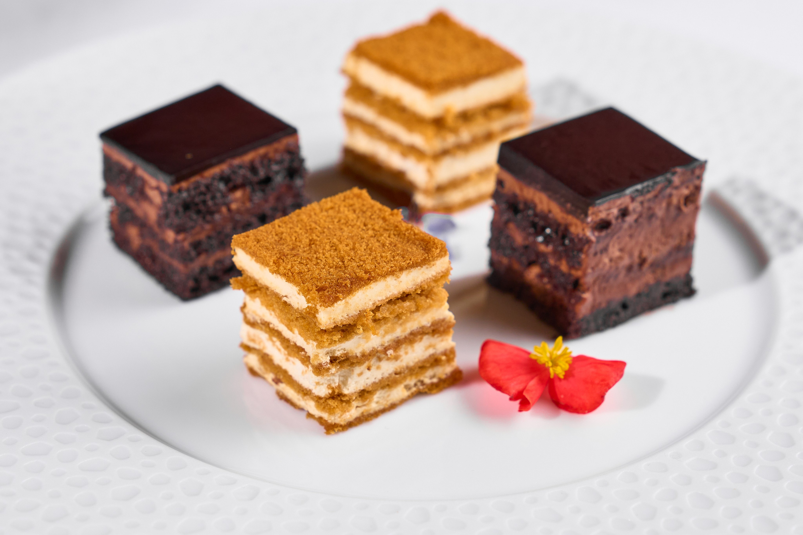 COSMOS ITALY — СЪЕМКА МЕНЮ