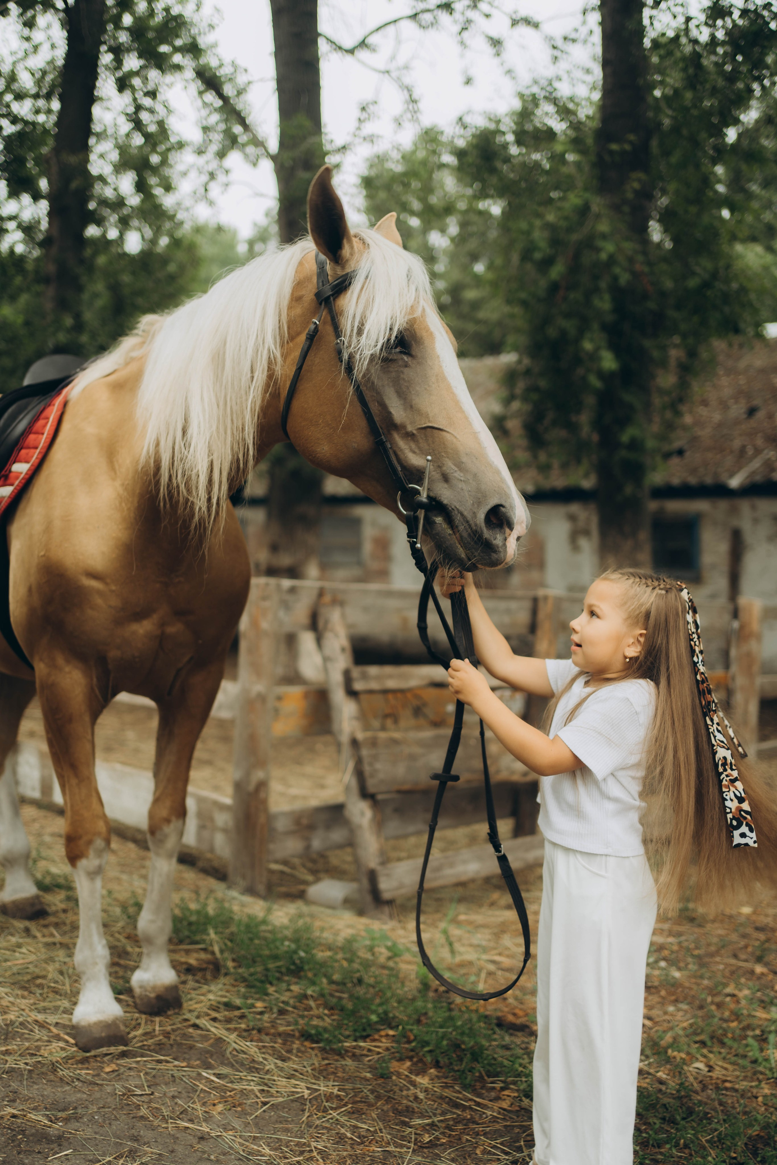 ипподром ульяновск
