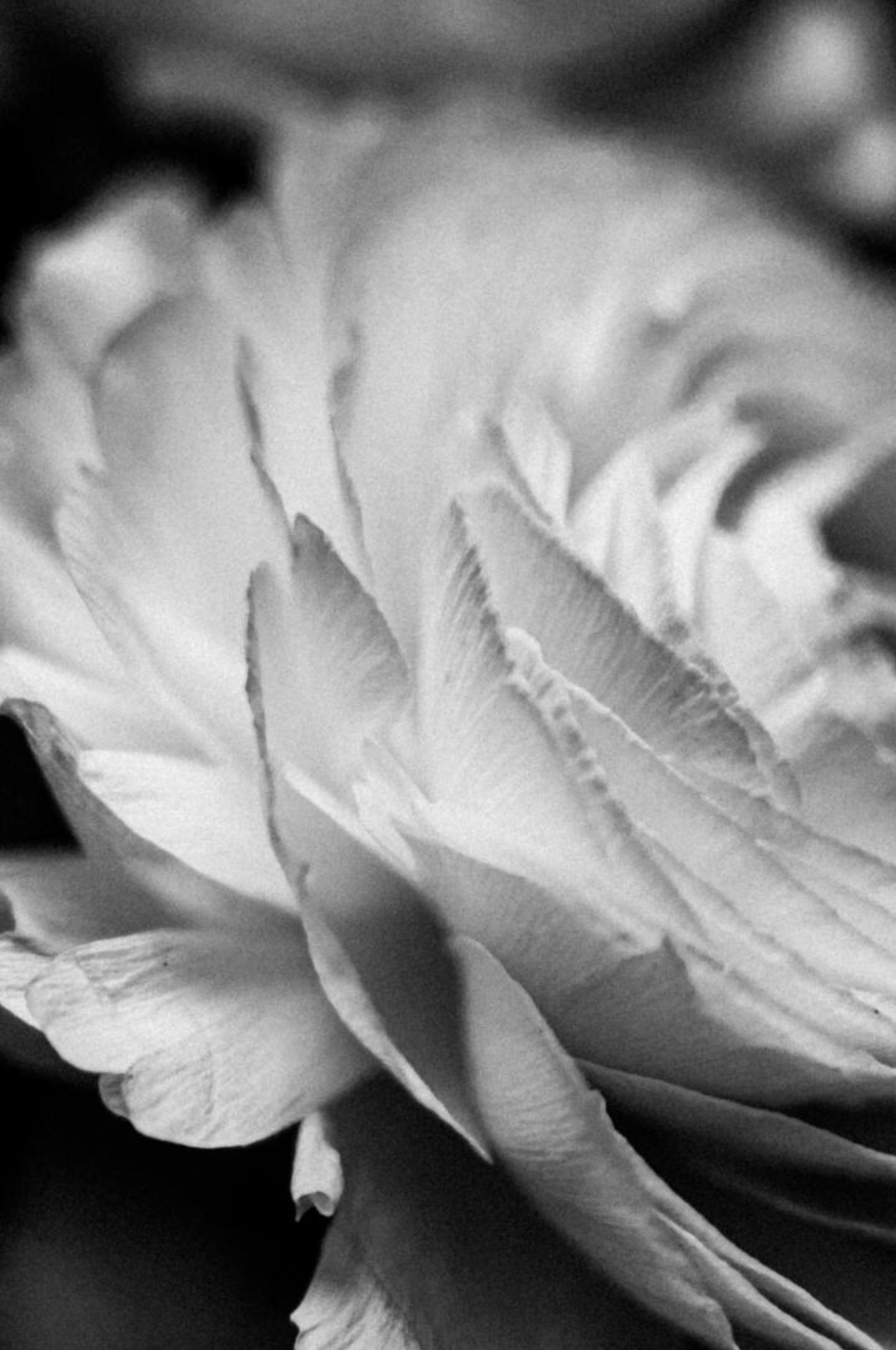 Фотограф в Карелии