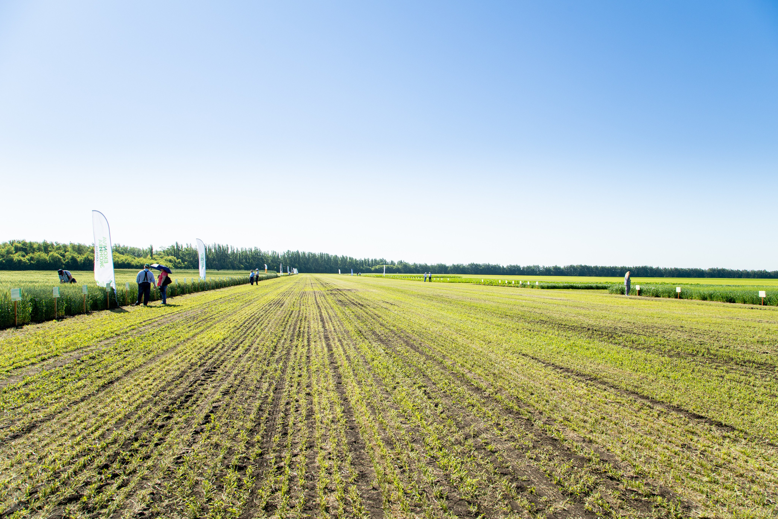 День Поля 2022. Владислав Волков | Фотография и видеосъемка в Воронеже
