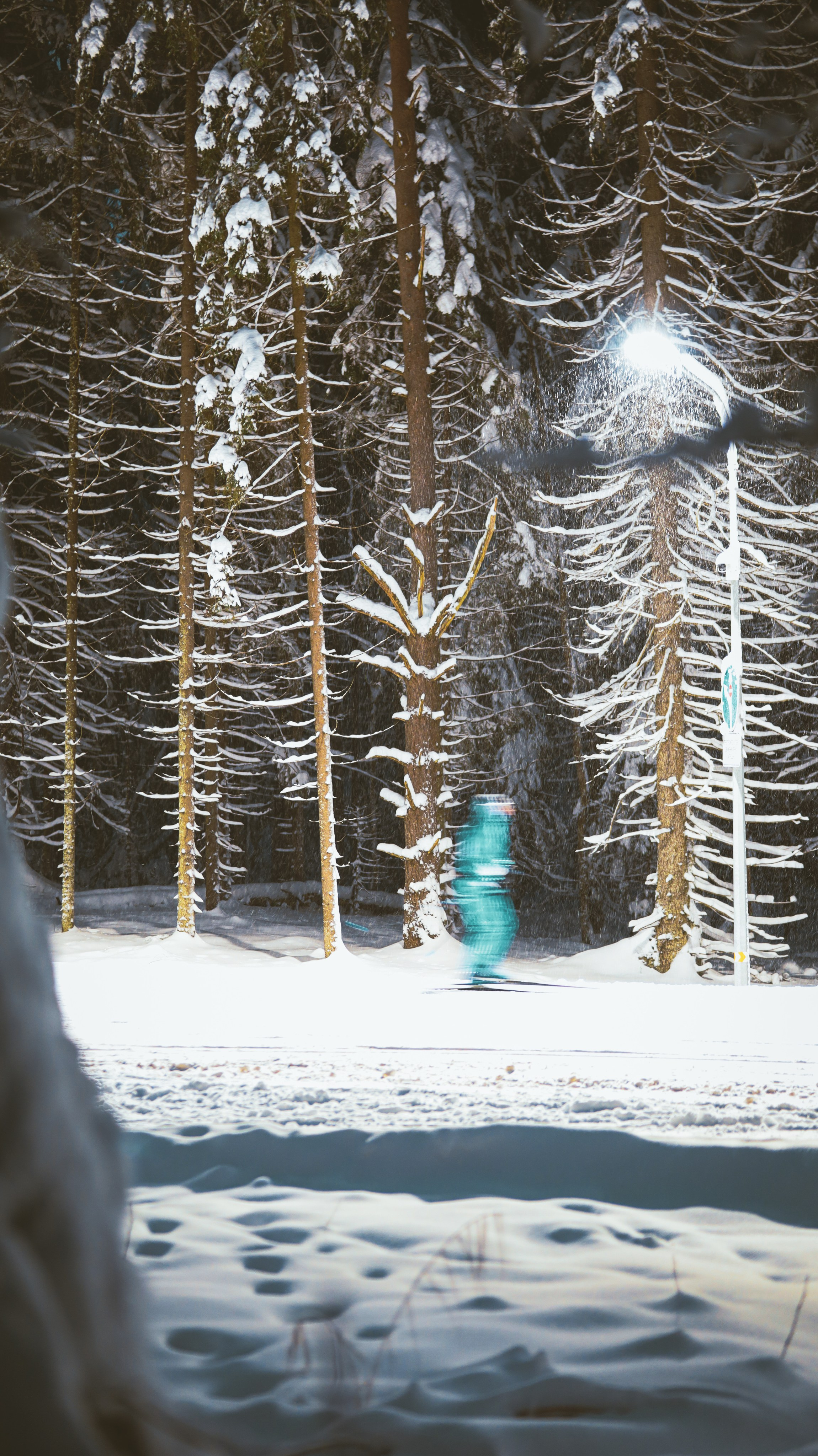 Природа &. Фотохудожник в СПб