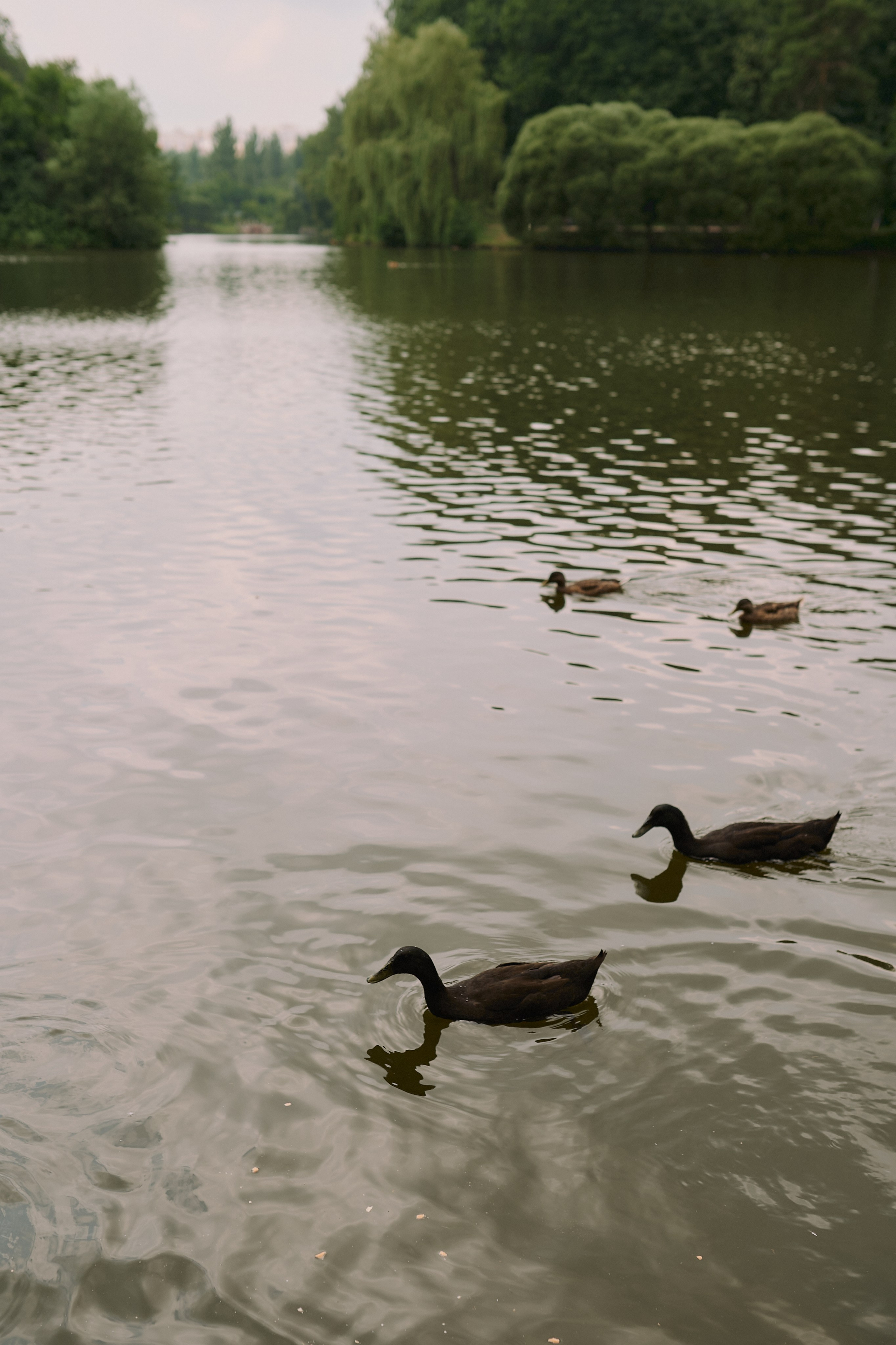 Андрей, Саша и Артём. Семейный и свадебный lifestyle-фотограф в Москве Мария Петрова