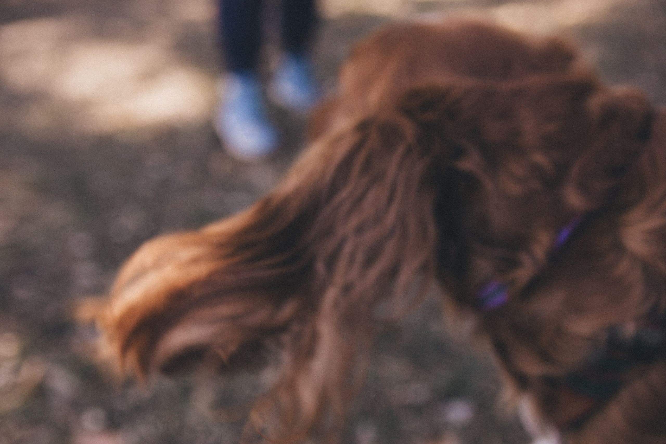 Julia & Jessie. Portrait, family and pet photographer in Cyprus, Ksenia Bourdelle