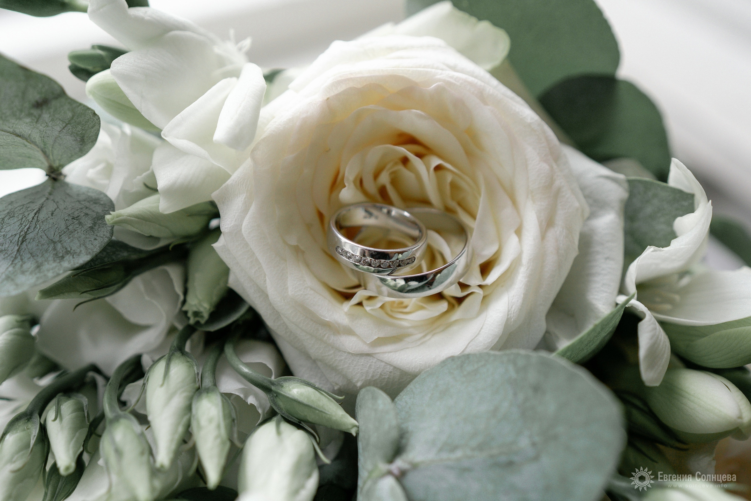 Свадебный фотограф в Санкт-Петербурге - портфолио. Фотограф в Санкт-Петербурге, — Евгения Солнцева