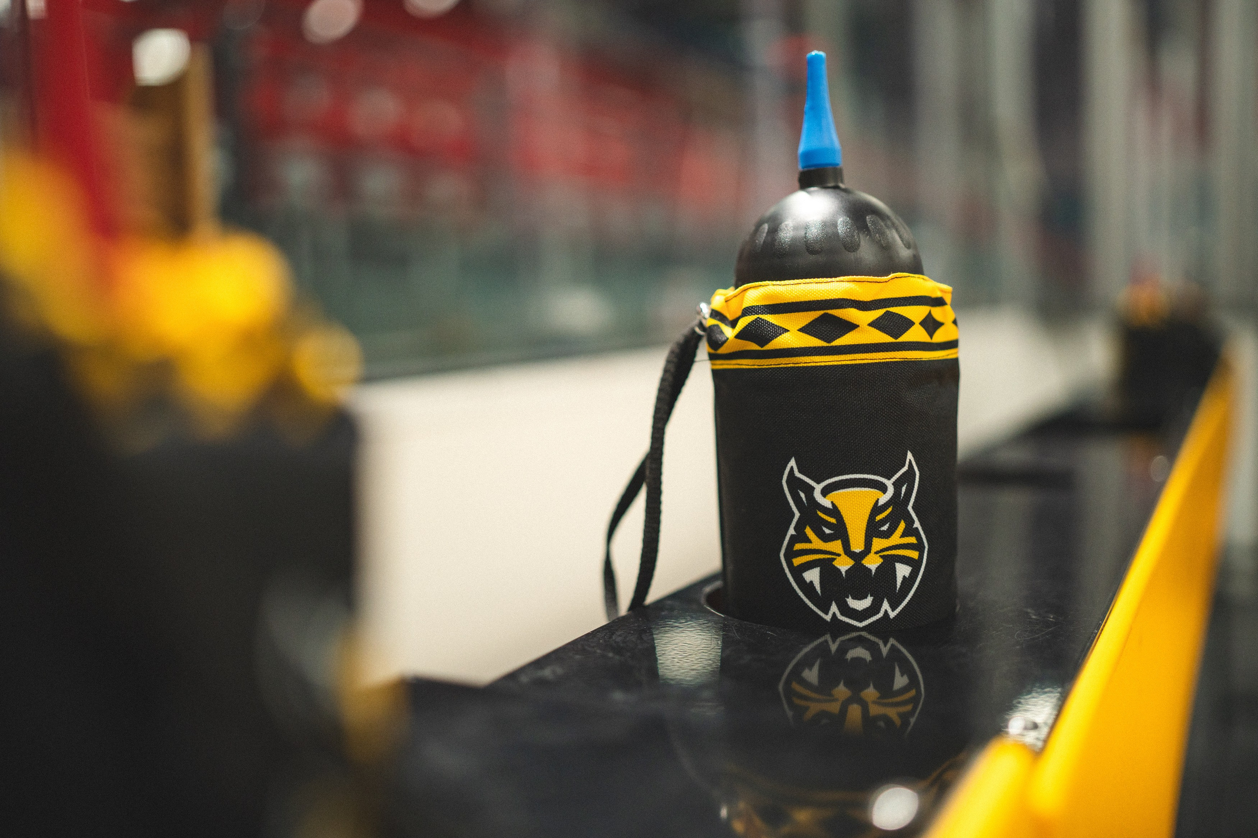 ХК Северсталь (младшая группа). Череповец. Zekons. Фото, видео, нейросети