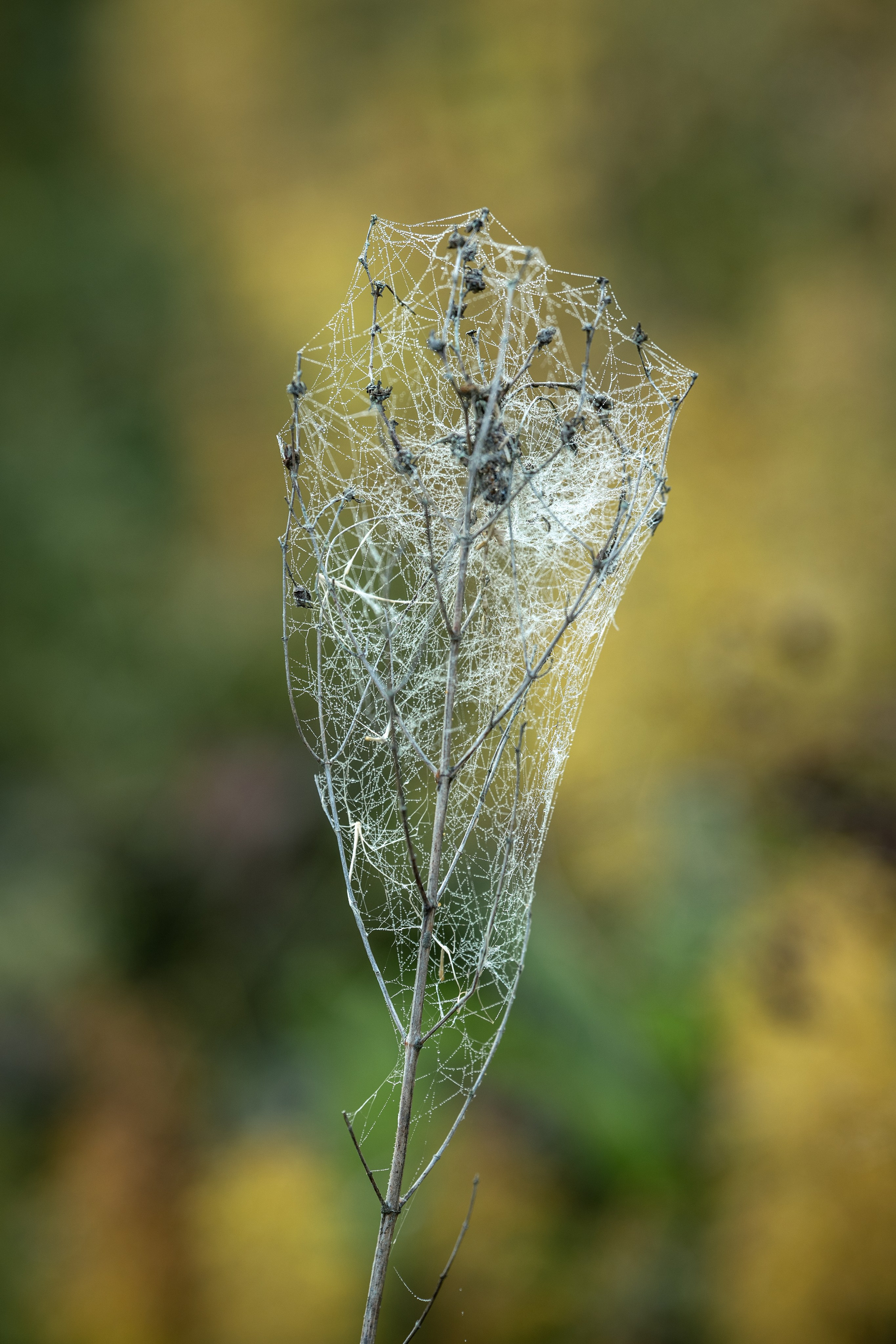 Природные пейзажи. Наталия Клевинскас портретный фотограф в Костроме
