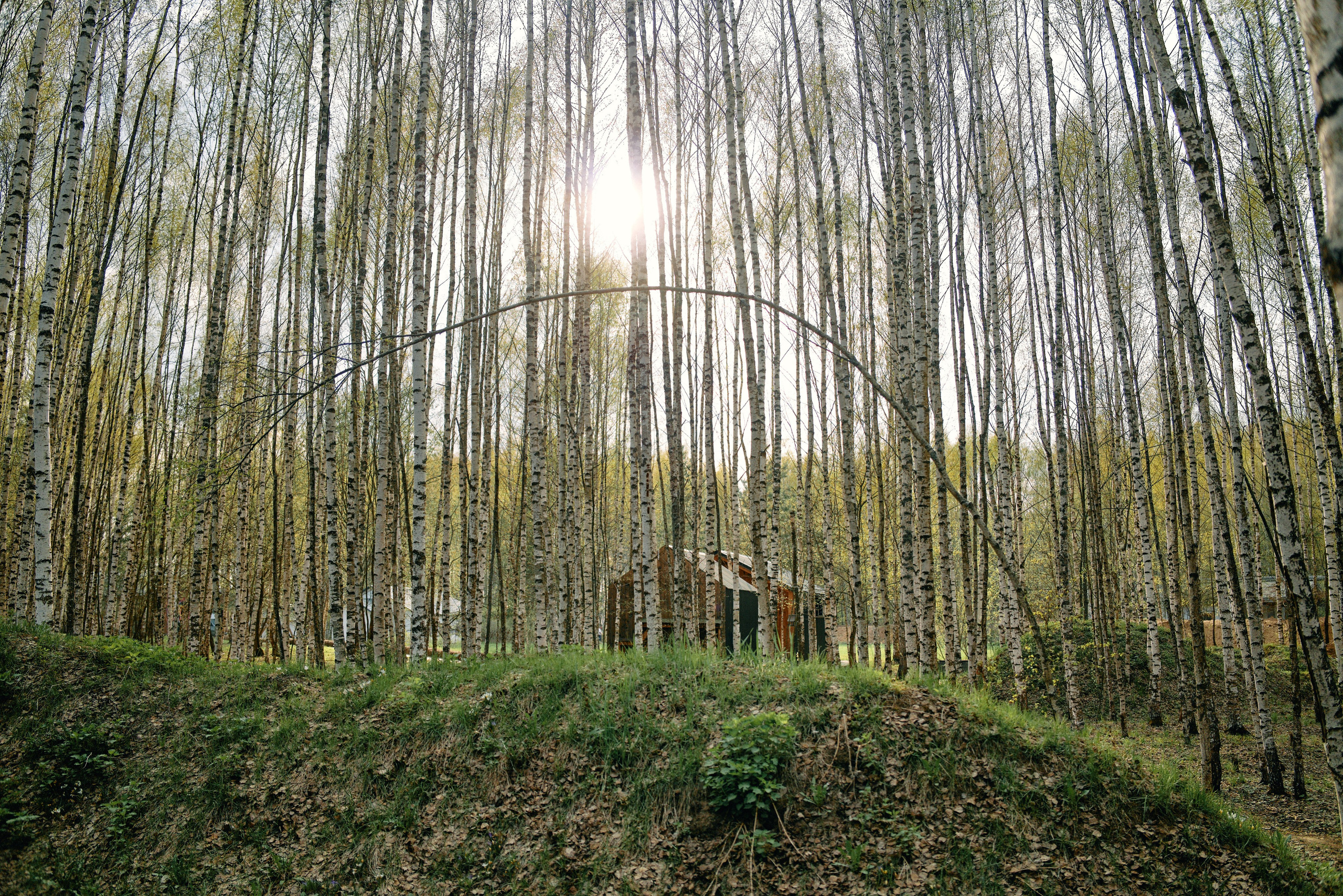 Бутик-отель Поле летом. Профессиональный Фотограф во Владимире, в Москве и в Суздале — Полина Романычева