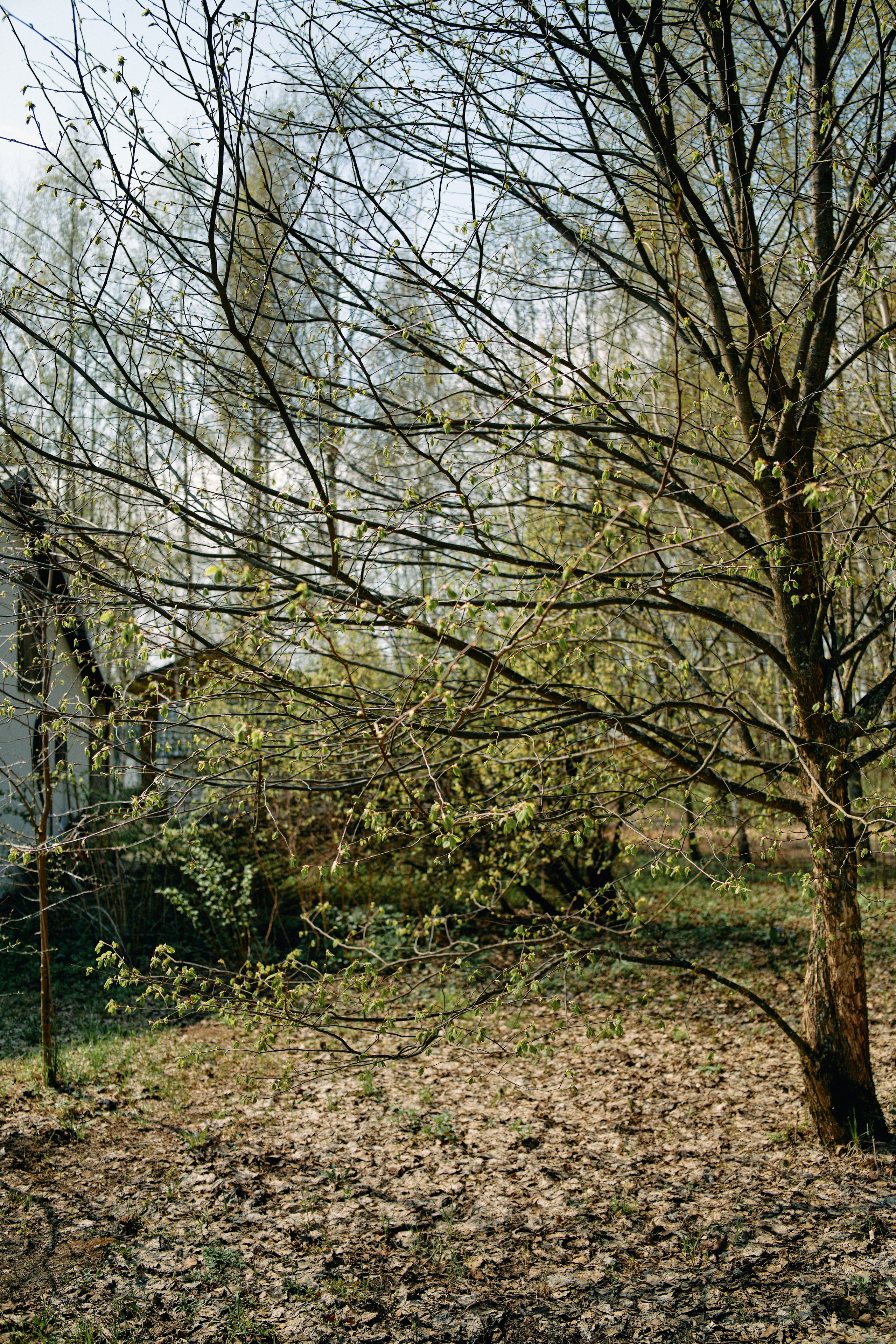 Бутик-отель Поле летом. Профессиональный Фотограф во Владимире, в Москве и в Суздале — Полина Романычева