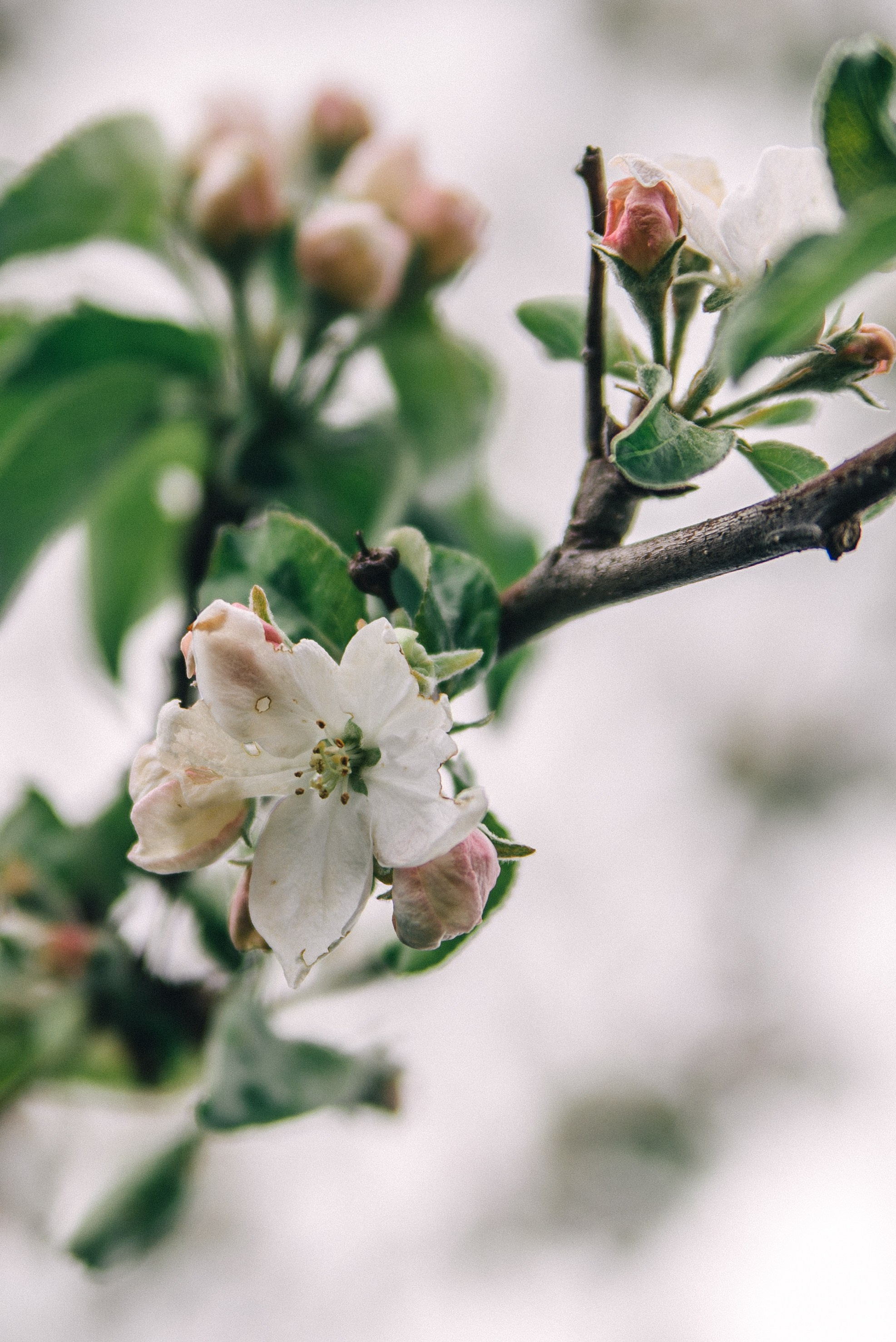 XIV Автопробег 2024 «Ветеранам глубинки — заботу и внимание» (маршрут № 3). Фотограф в Самаре Елена Фомина