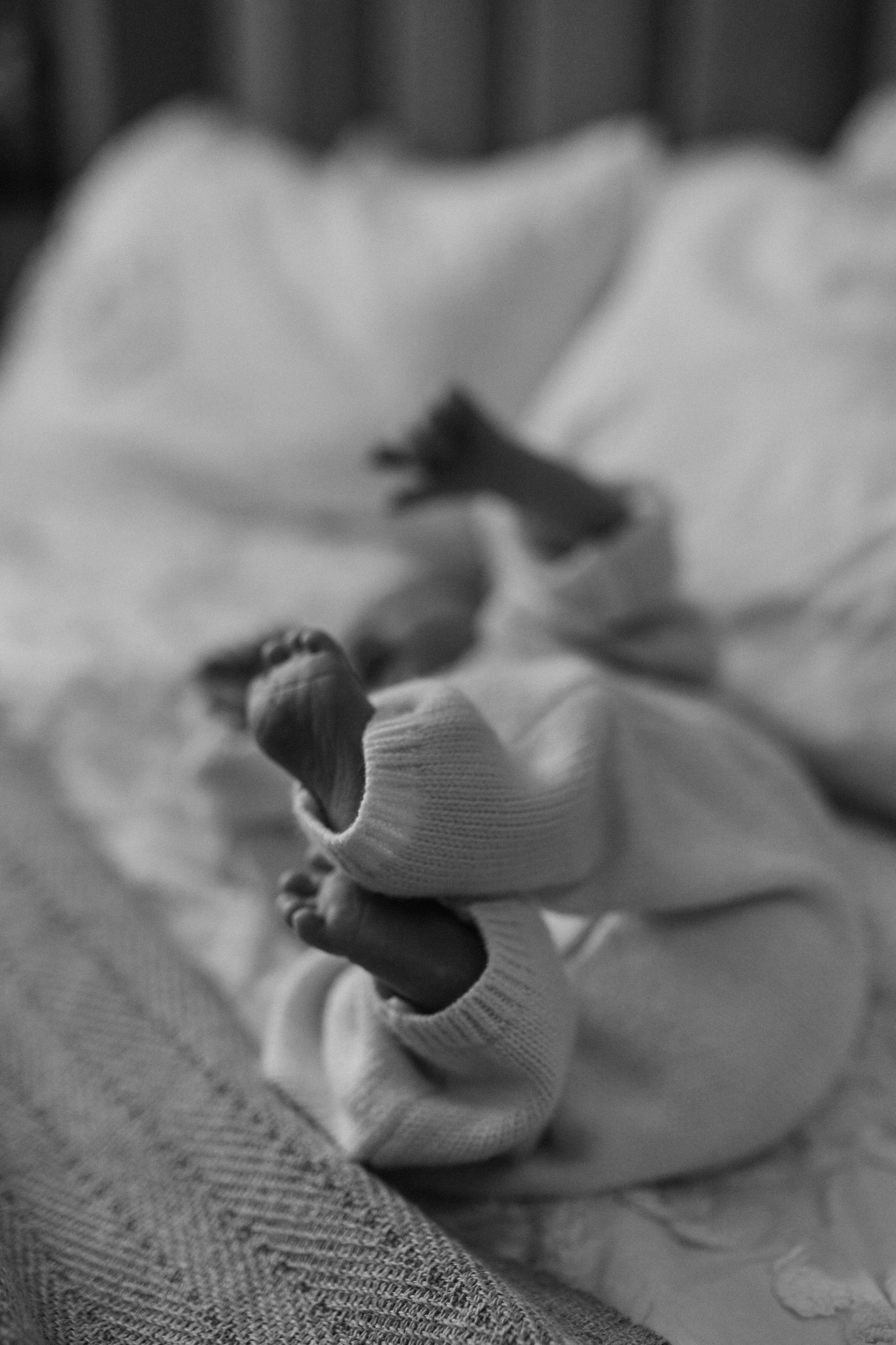 Лена, Игорь, Арина, Агата. Семейный фотограф Москва