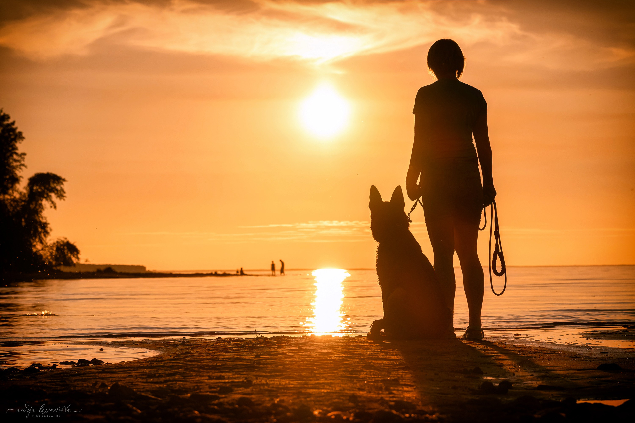 Прайд на море. Фотограф анималист Аня Ливанова | Рыбинск