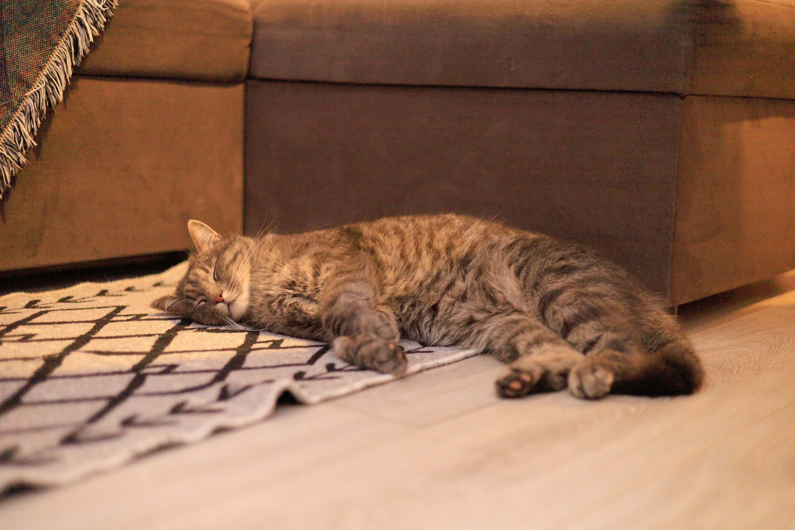 Поездка к озеру Глубокому. ABSTRACAT FOTO